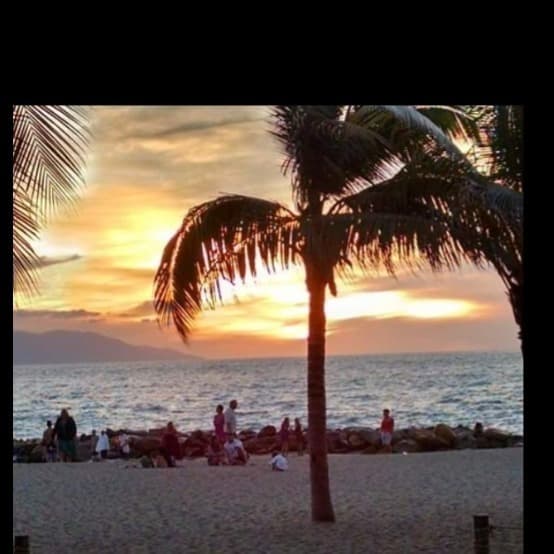 MrMexico banner image