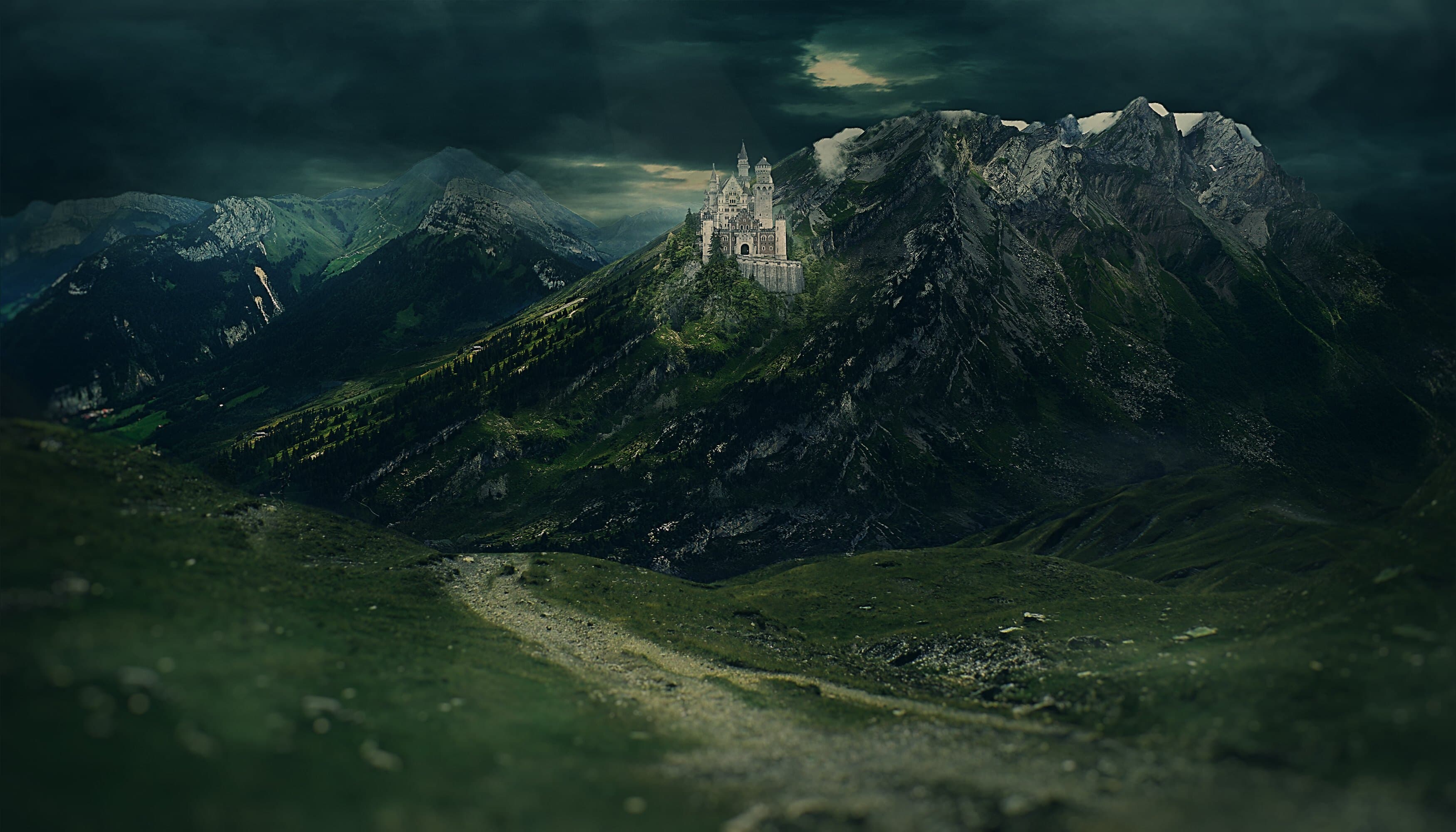 Eduard Tutan banner image