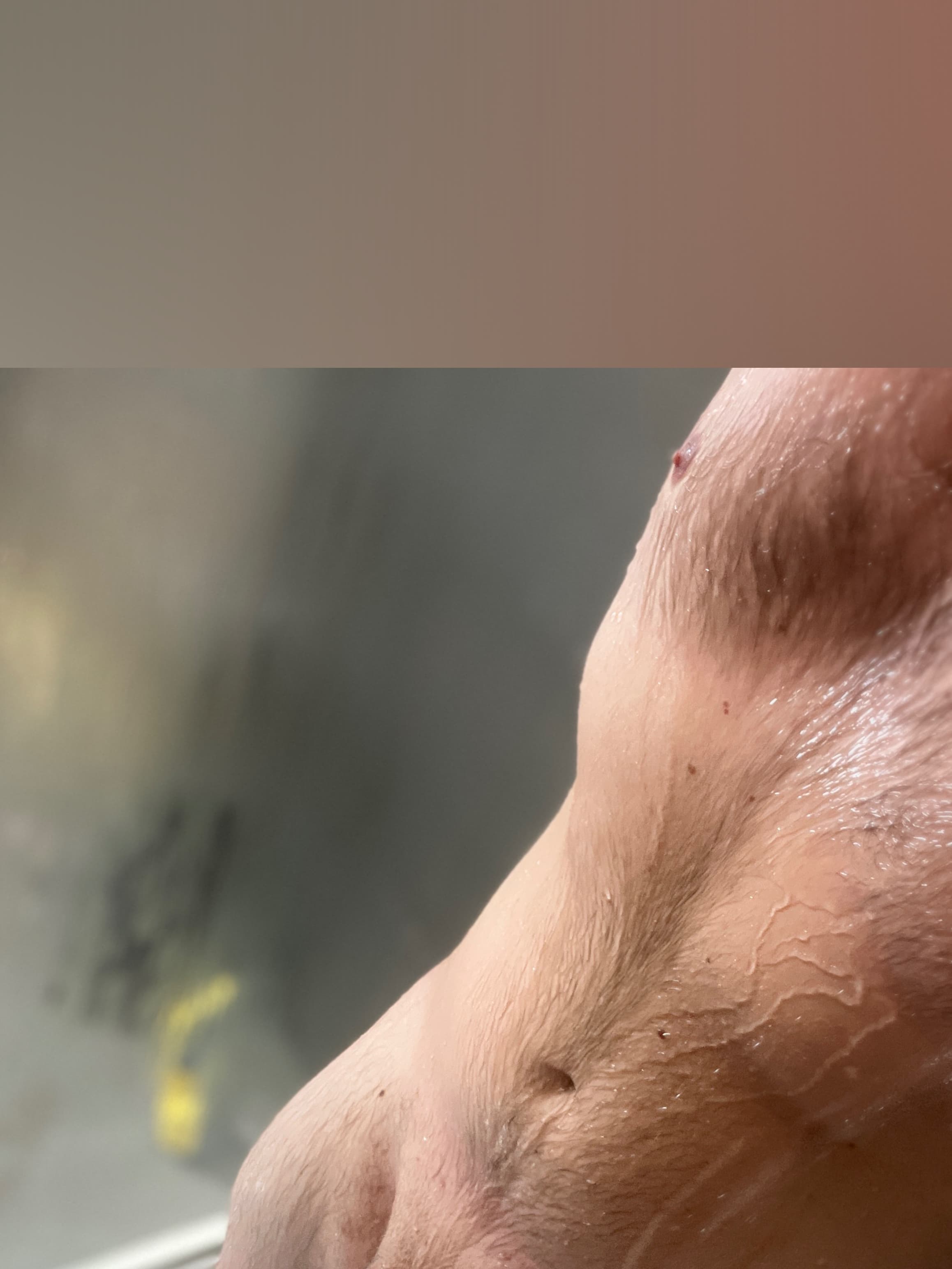 Yorkshire Lad banner image