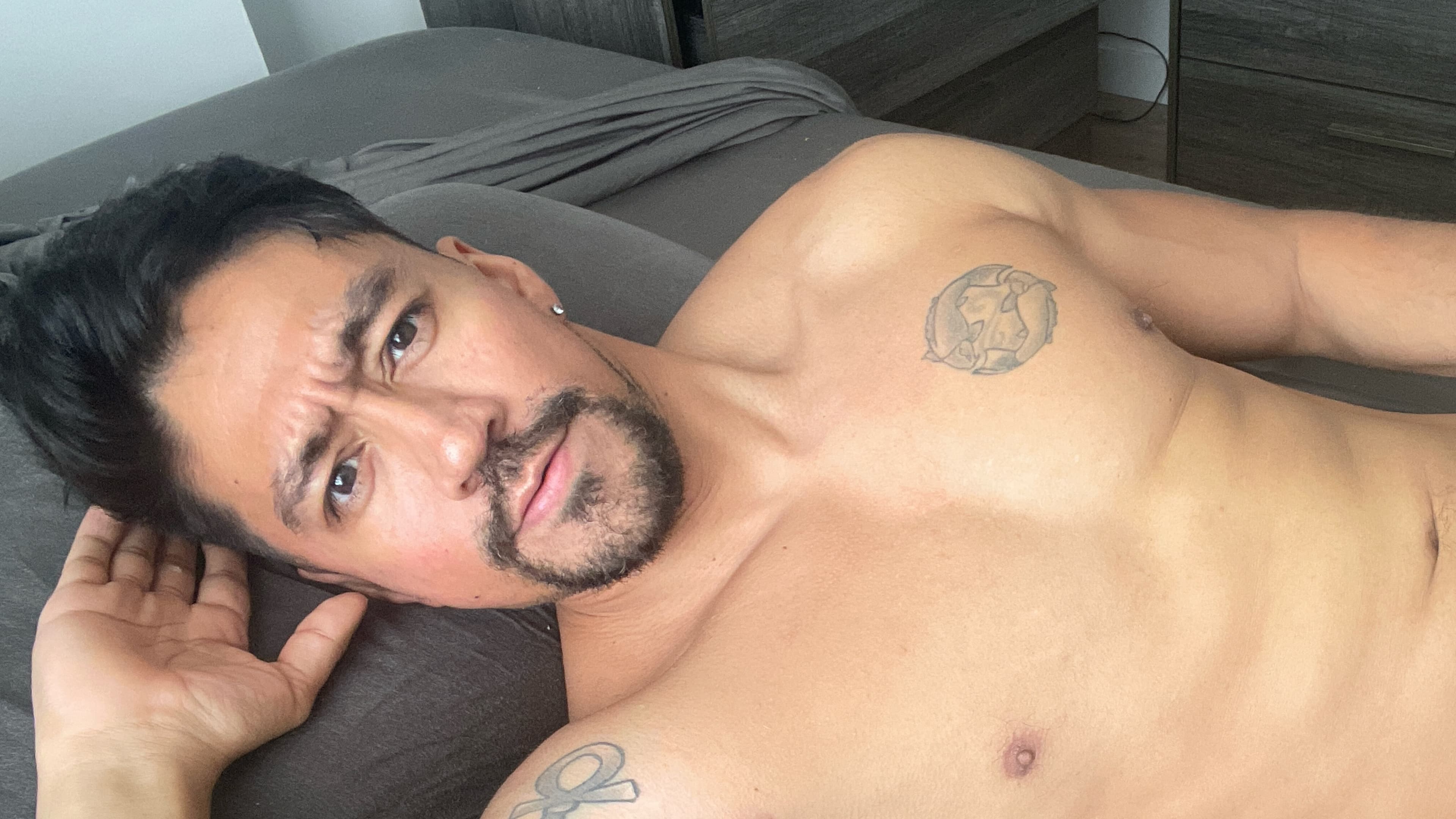 Ant Vega banner image