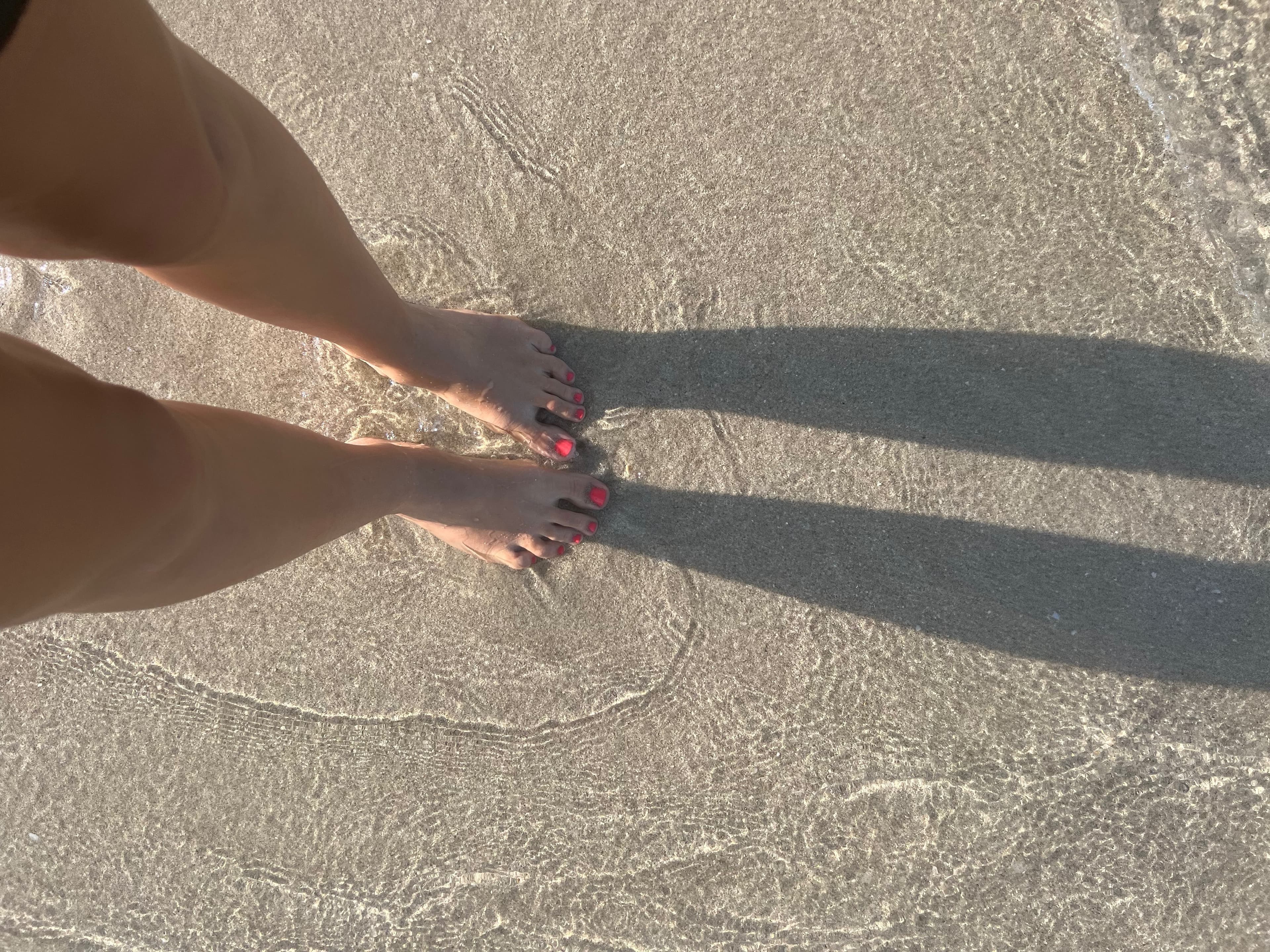 These_Toe_Beans banner image