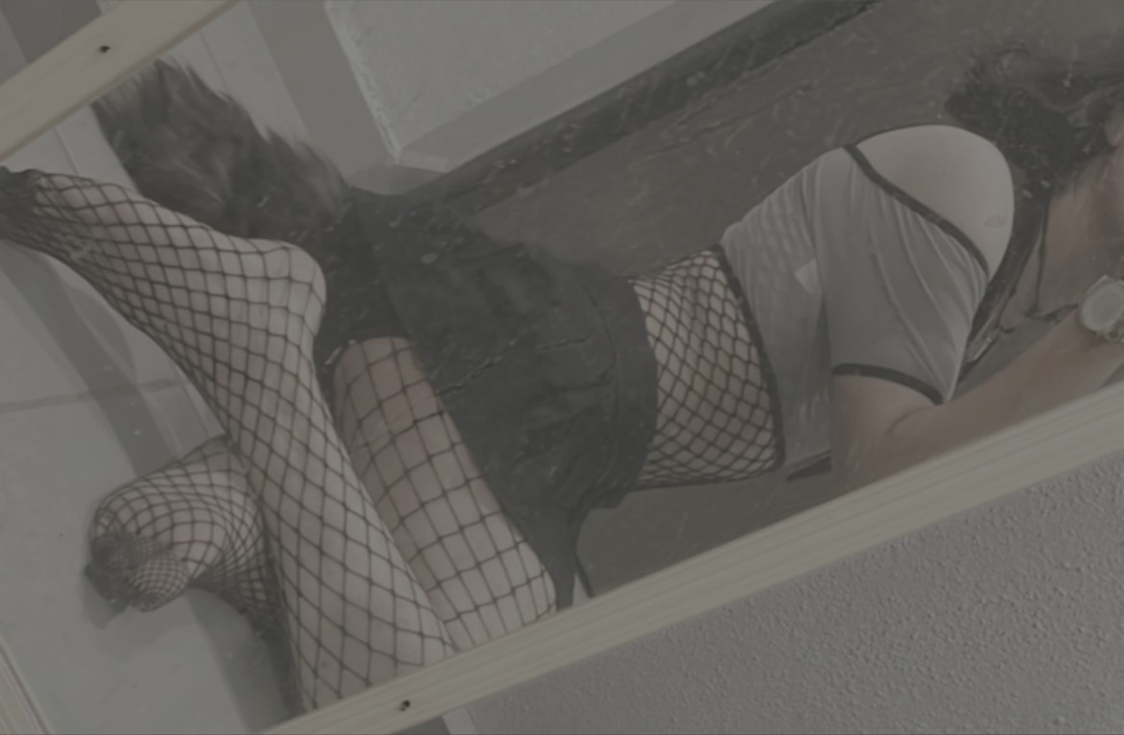 Ale Reyes banner image