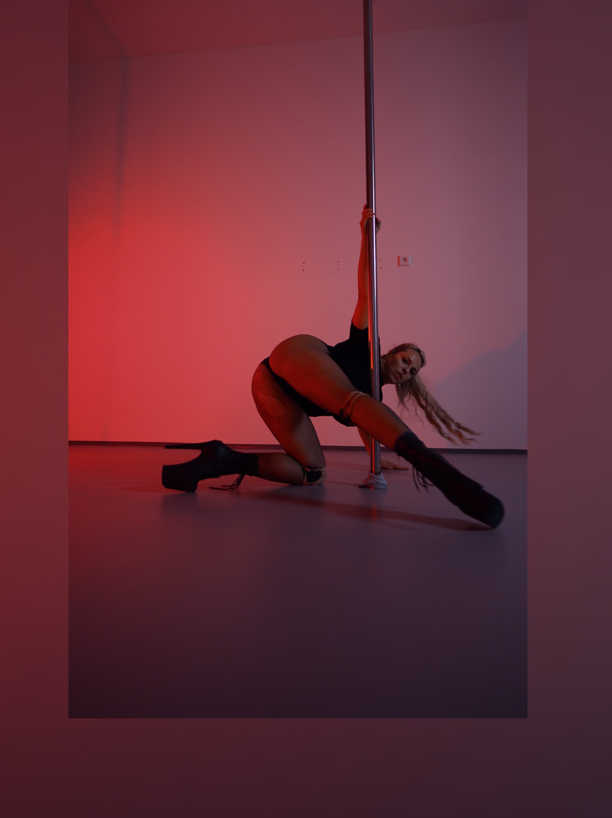 BunnyHoney banner image