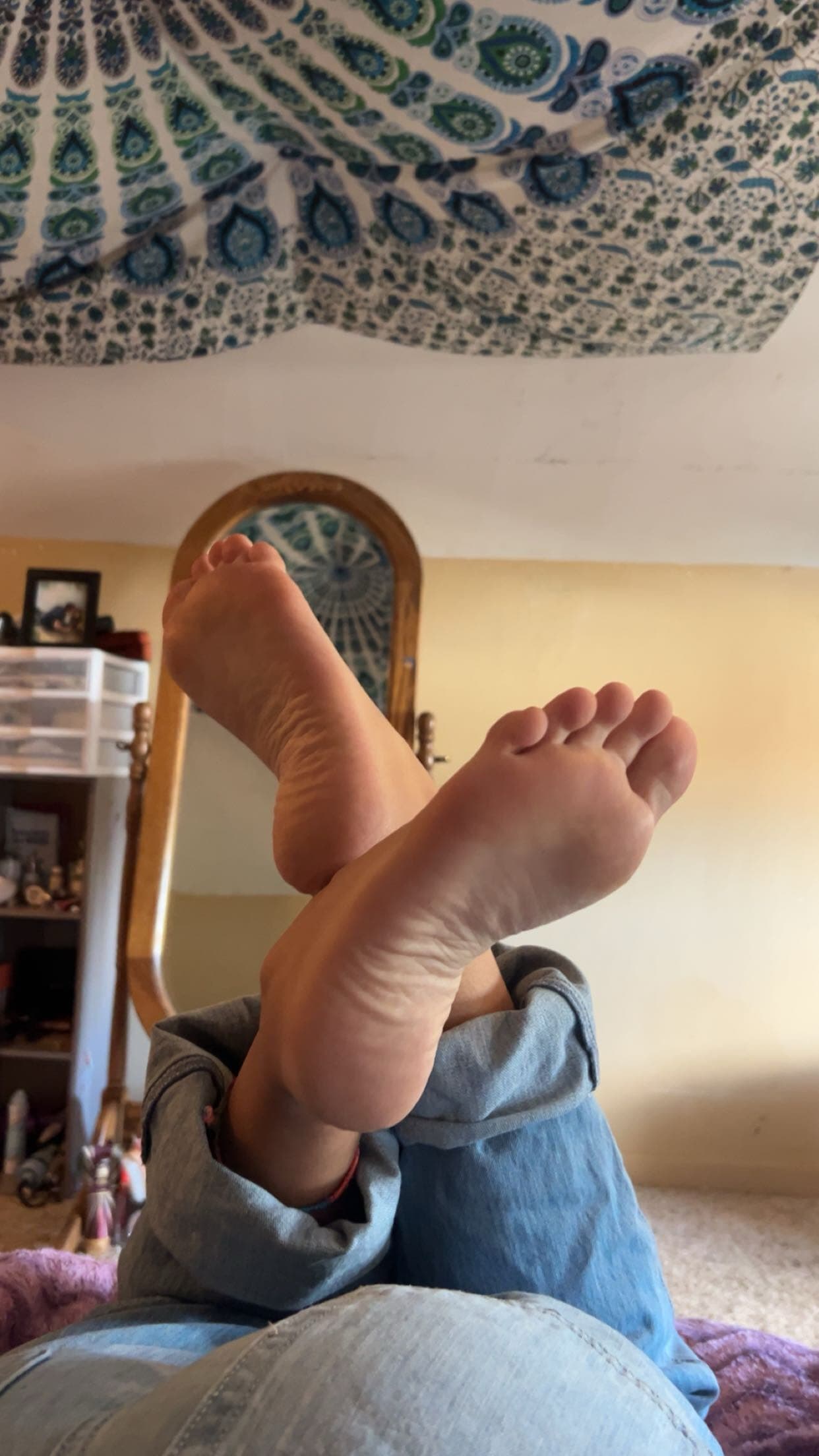 lilly banner image