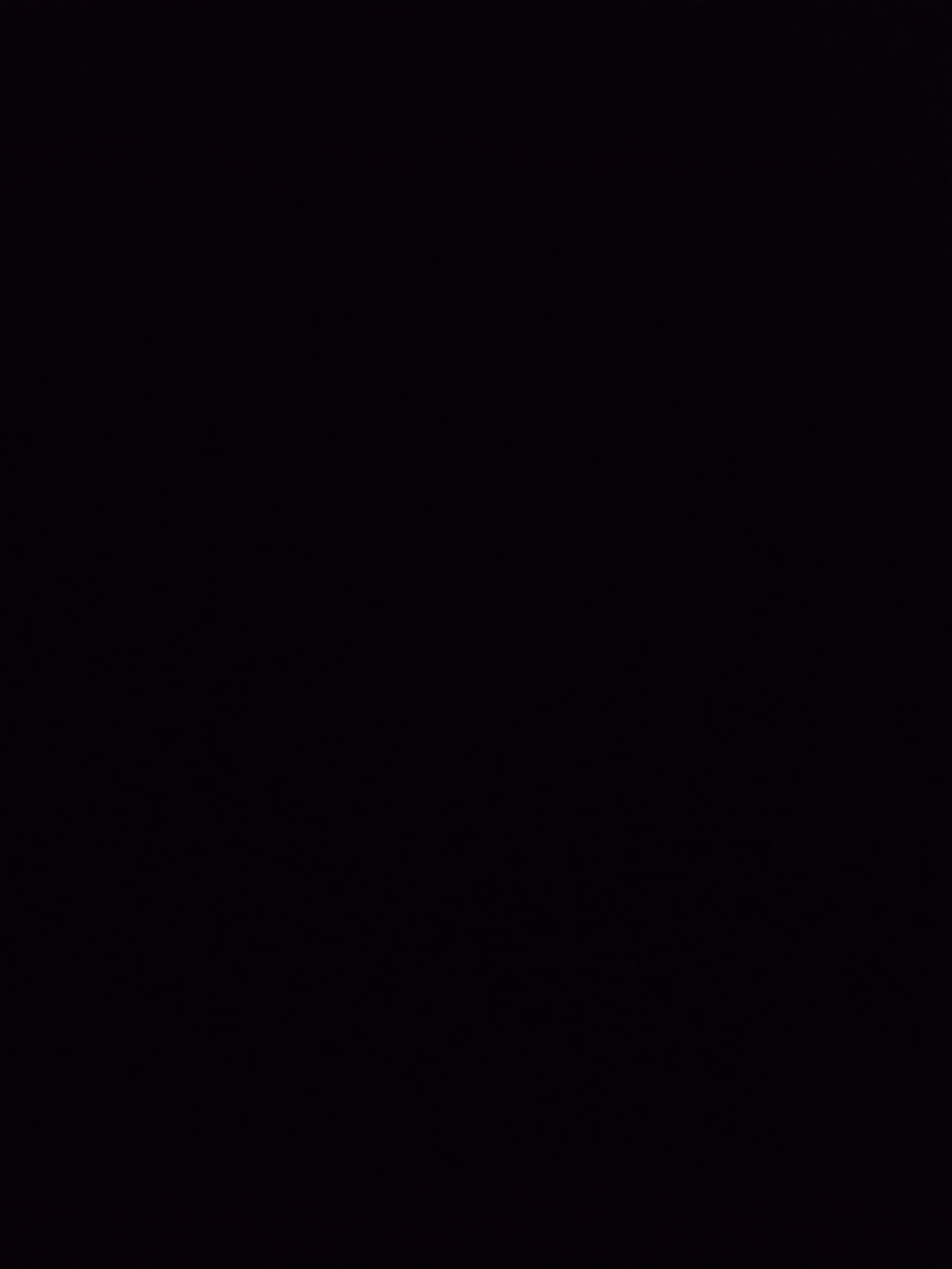 Sebaatian banner image