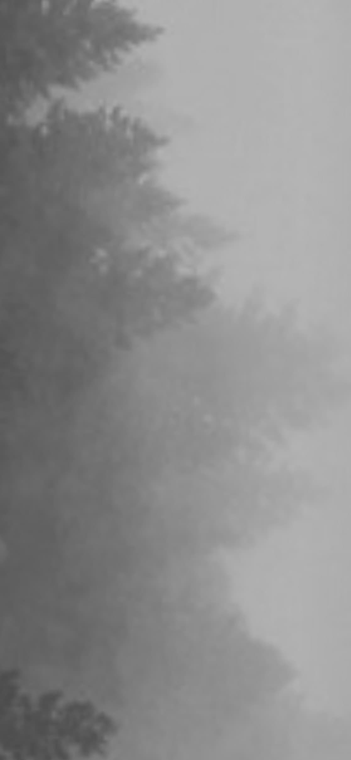 slenderman…. banner image
