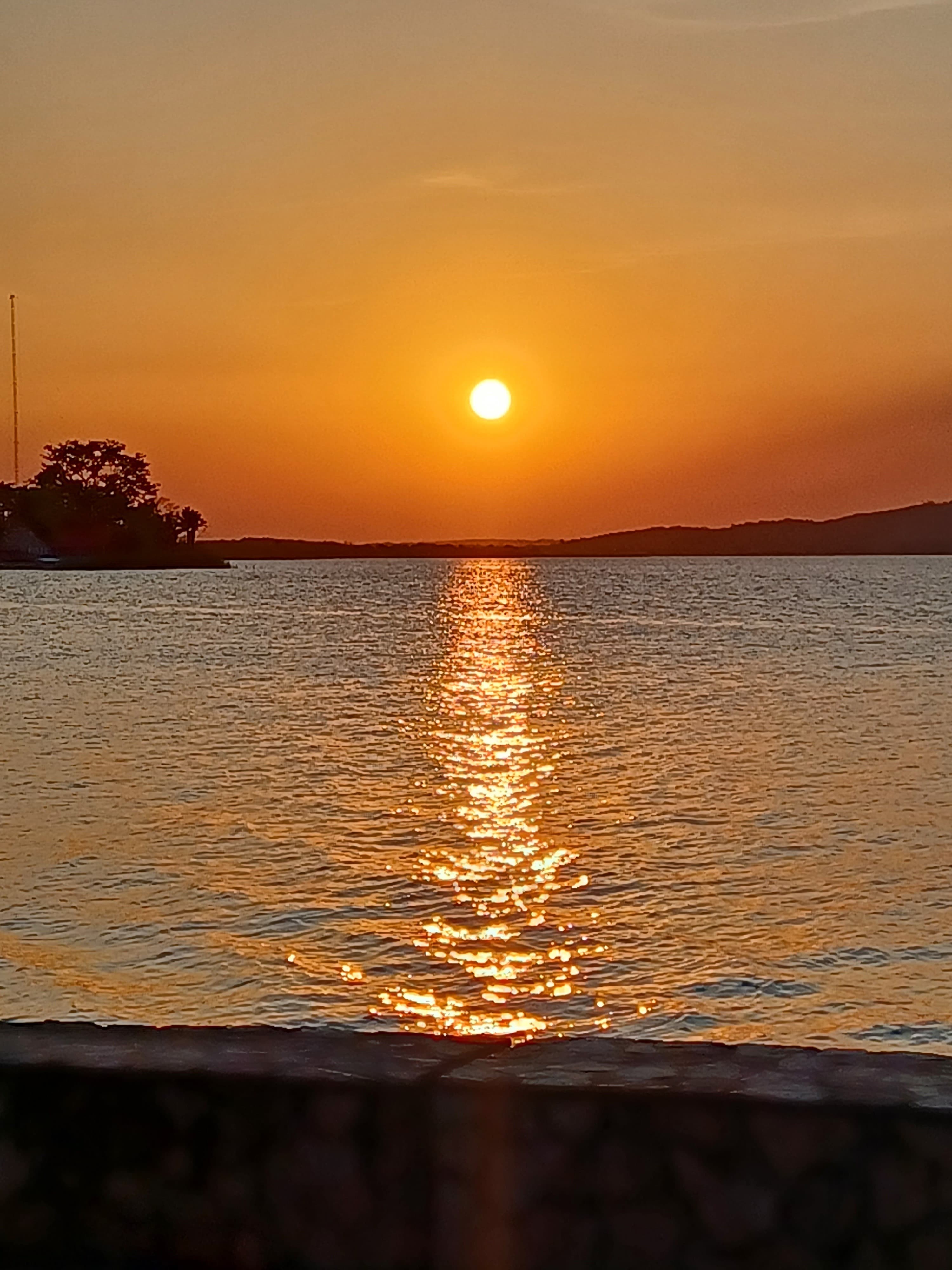 Nenilis Mora banner image