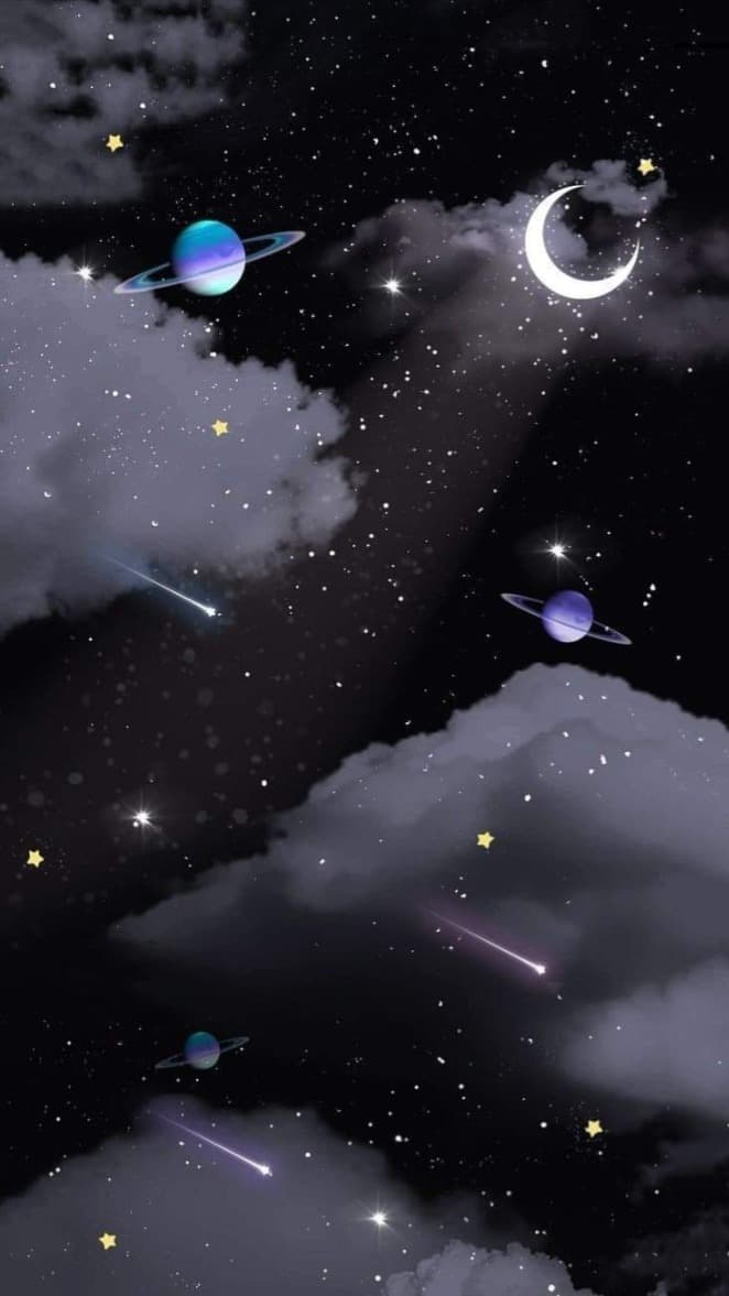 Ariela Vidal banner image