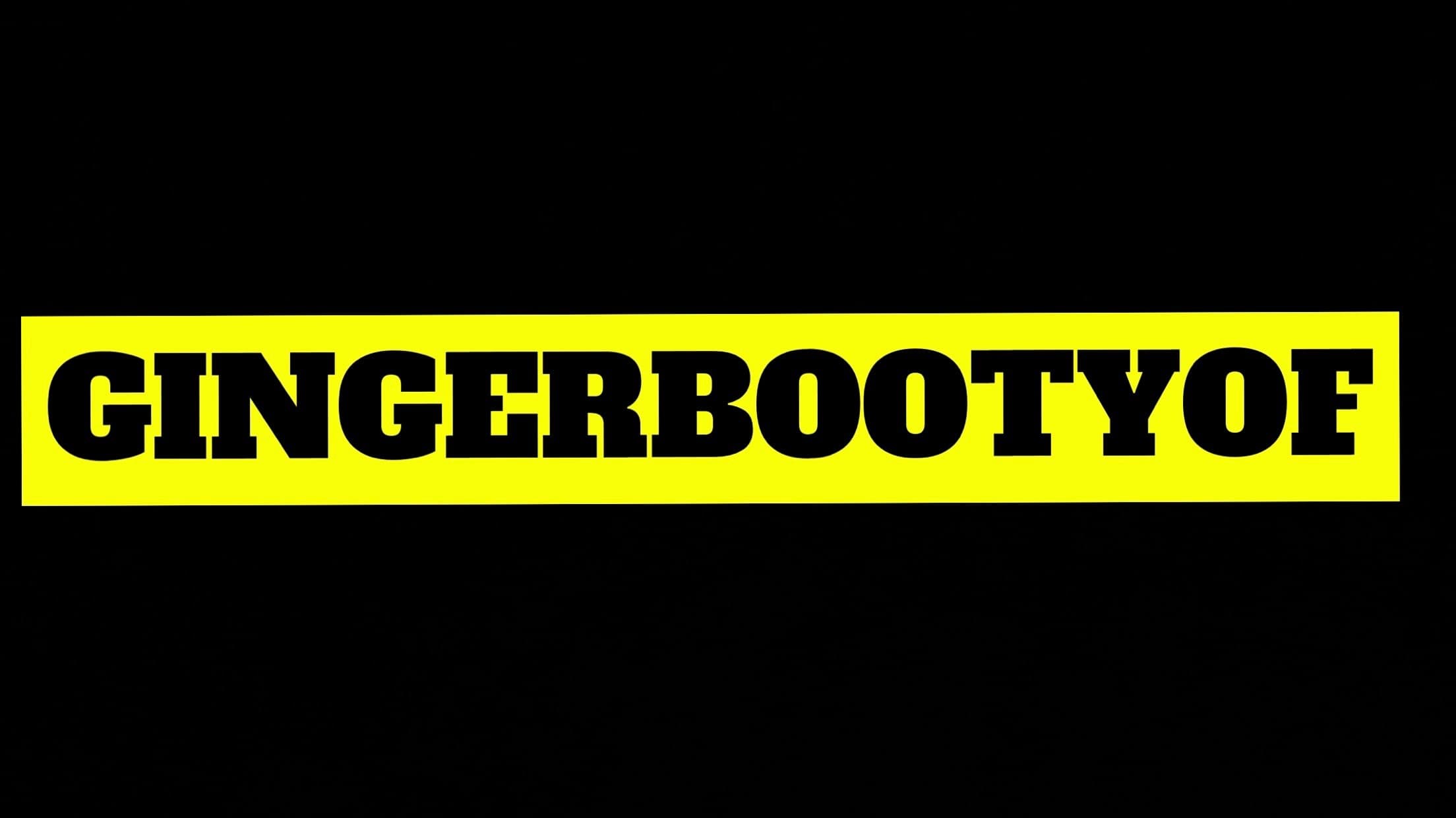 Gingerbootygirl banner image