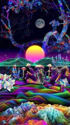 JenC banner image