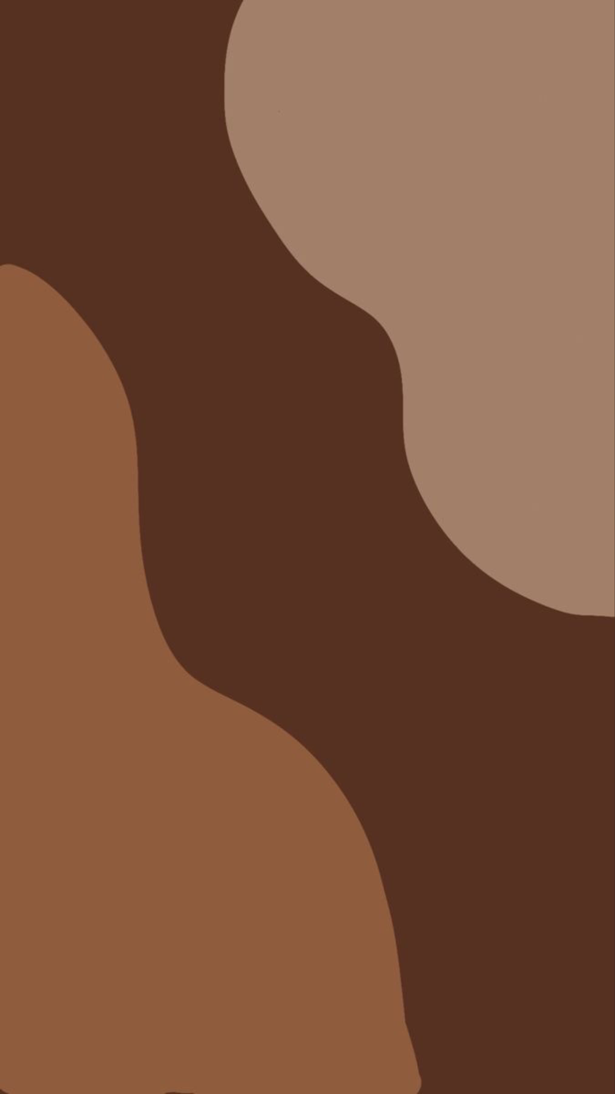 Lattie banner image