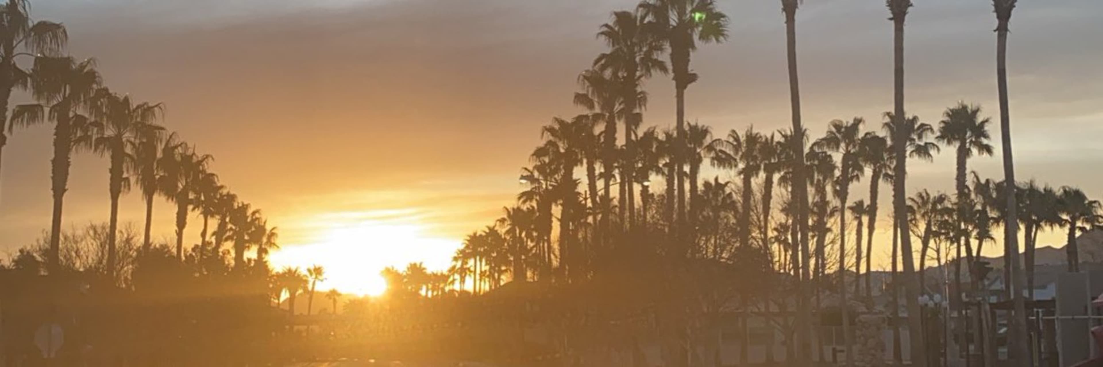Zane Walker banner image