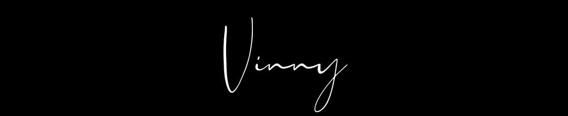 Vinny V banner image