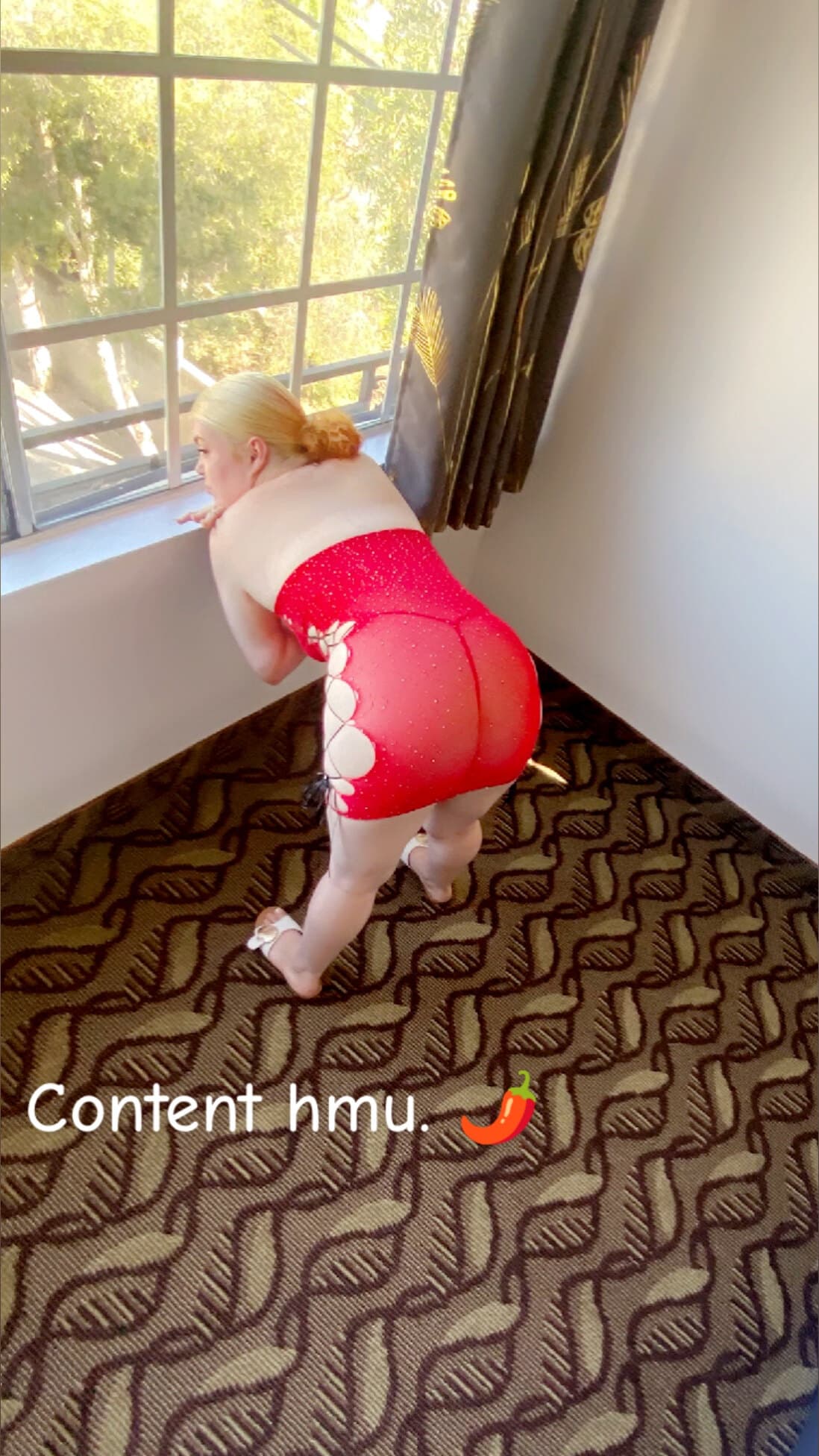 Loyal banner image
