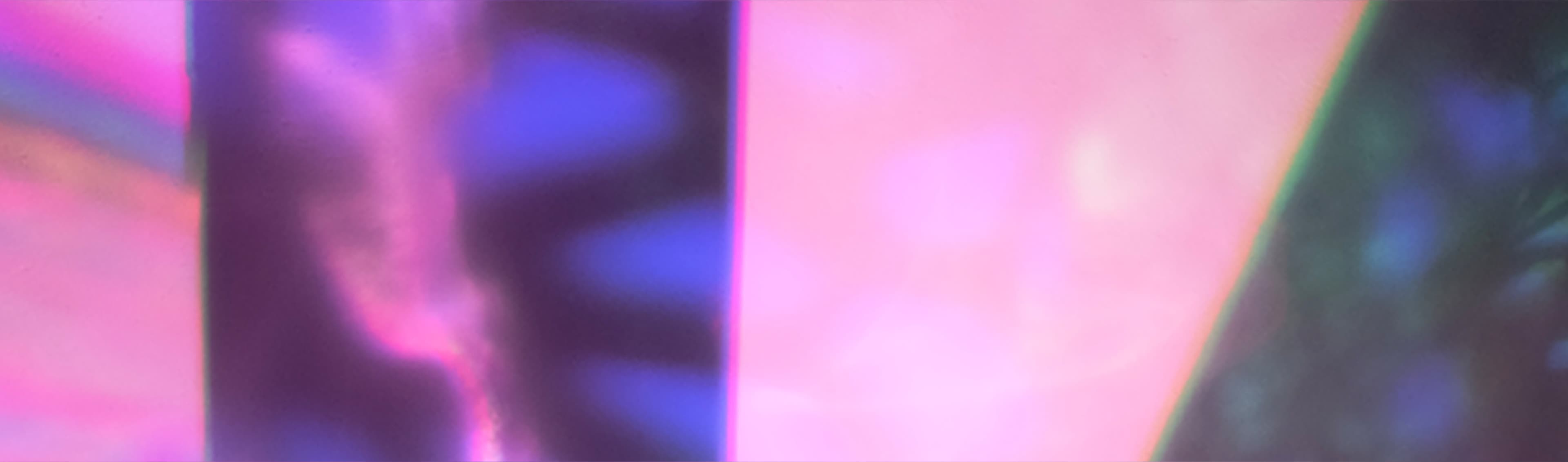 Spicy Bunny banner image