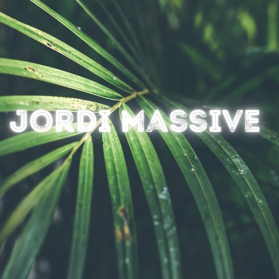 Jordi Massive banner image
