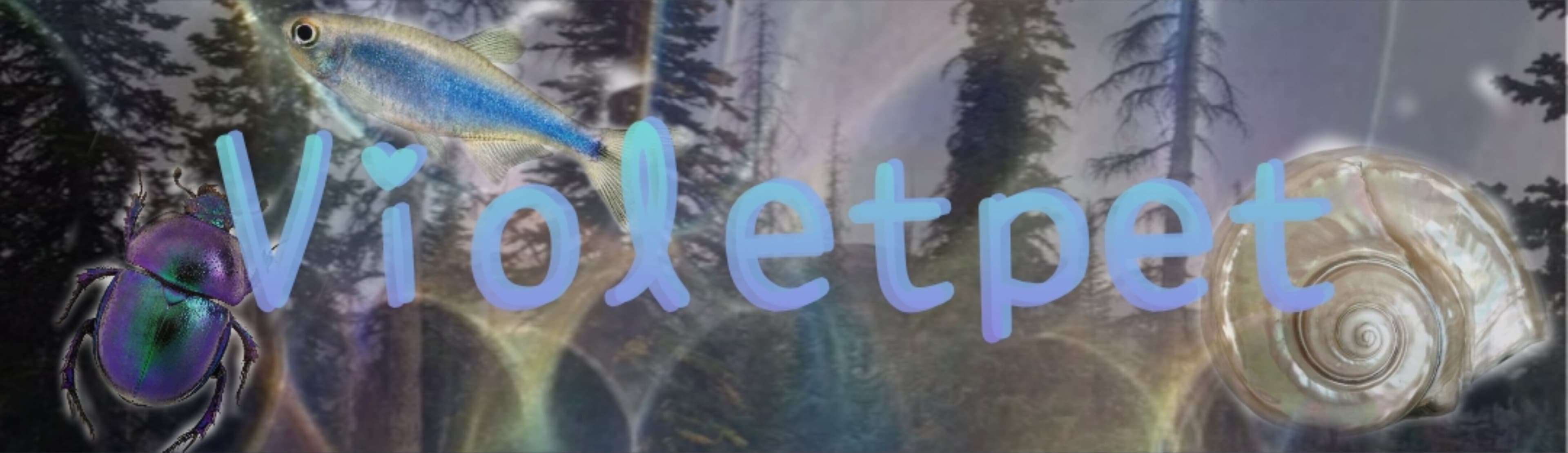 V banner image