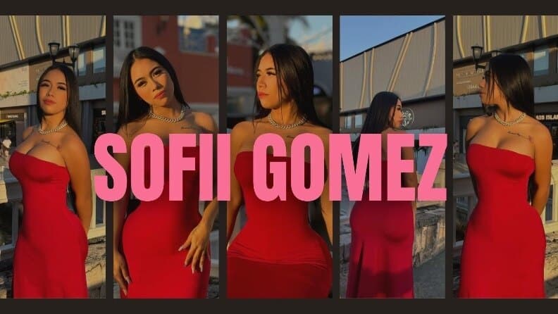 Sofii 🔥 banner image