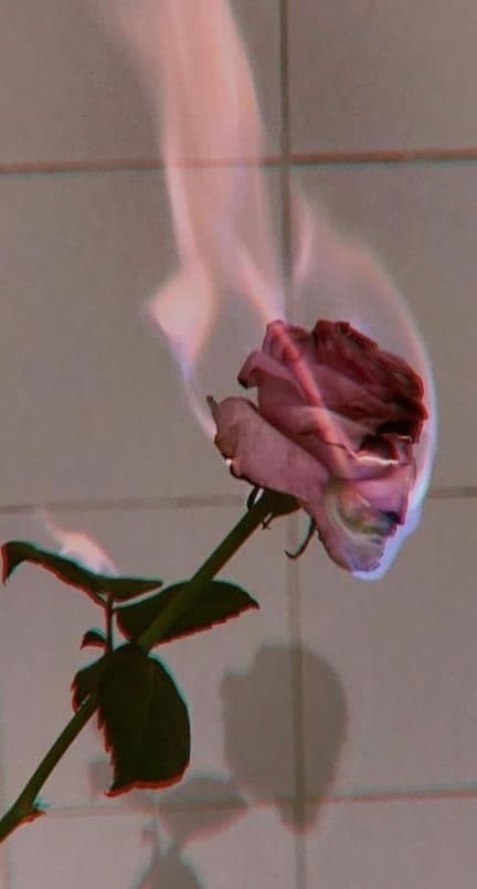 mariah ✨ banner image