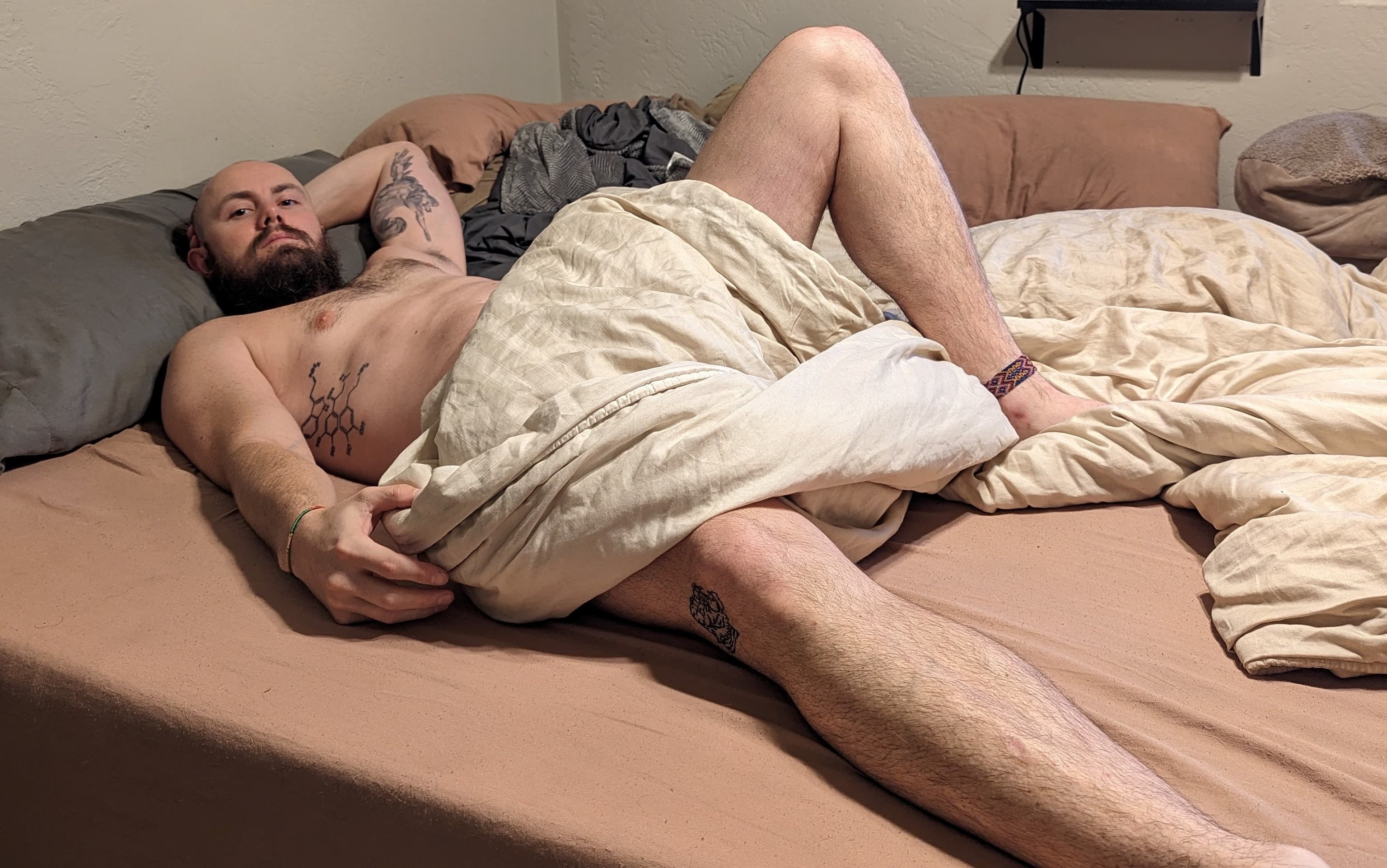 alex.ahl banner image