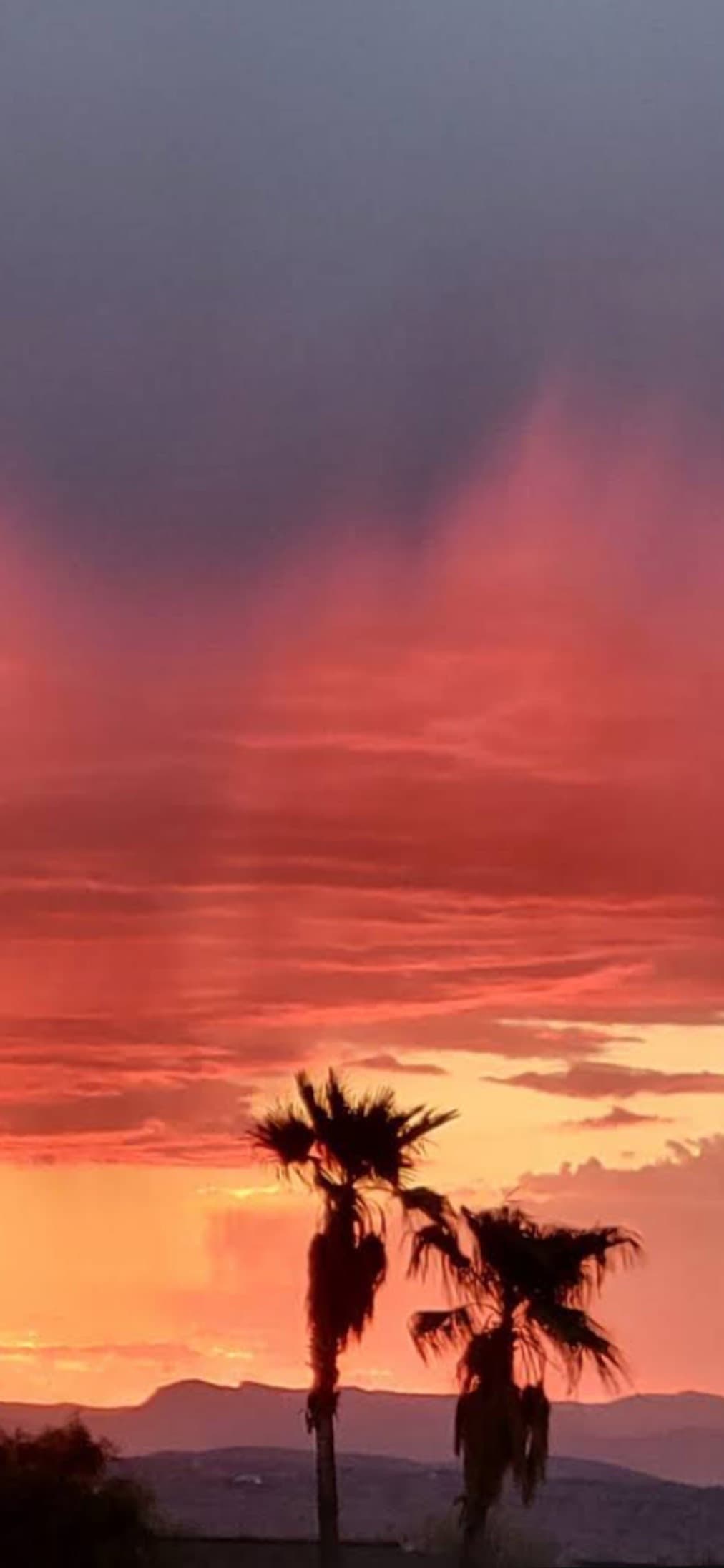 MajorCurve banner image