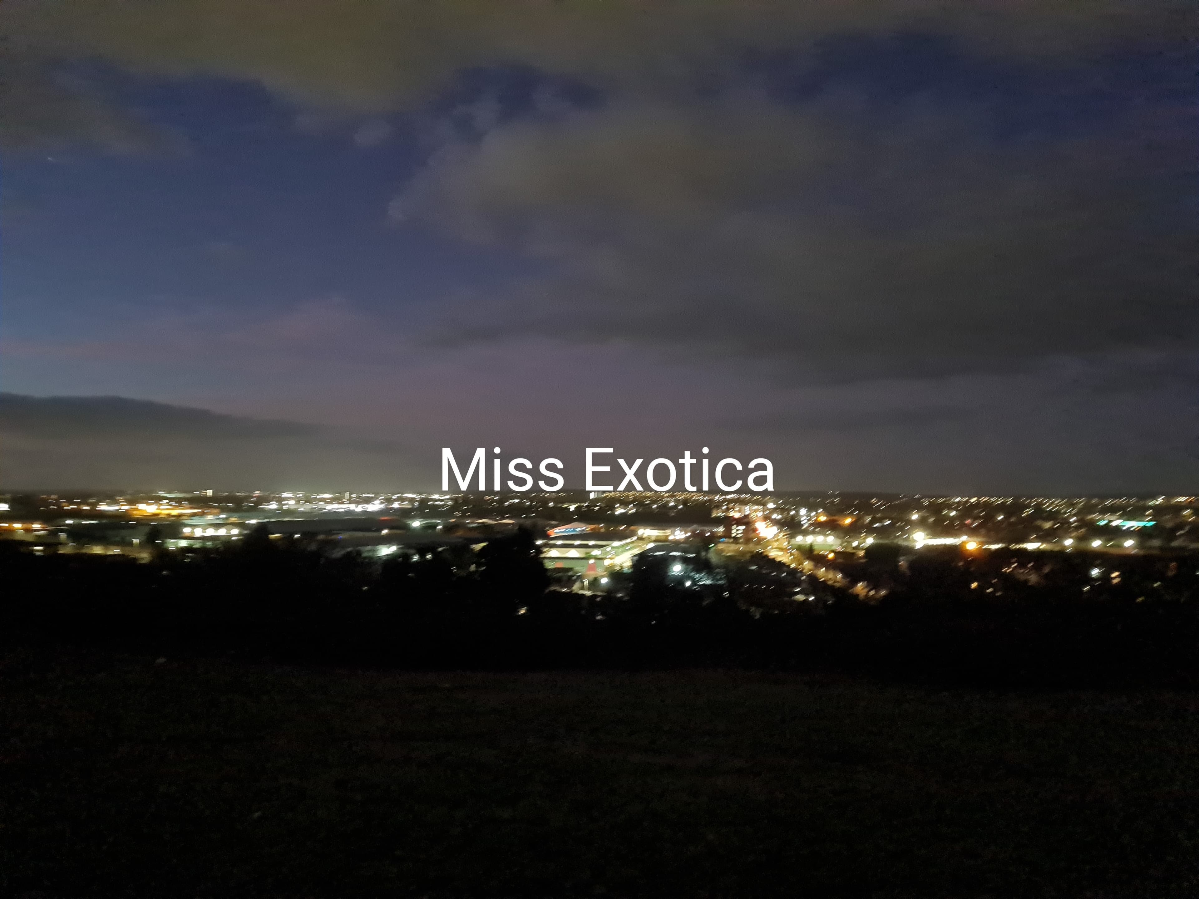 MissExotica banner image