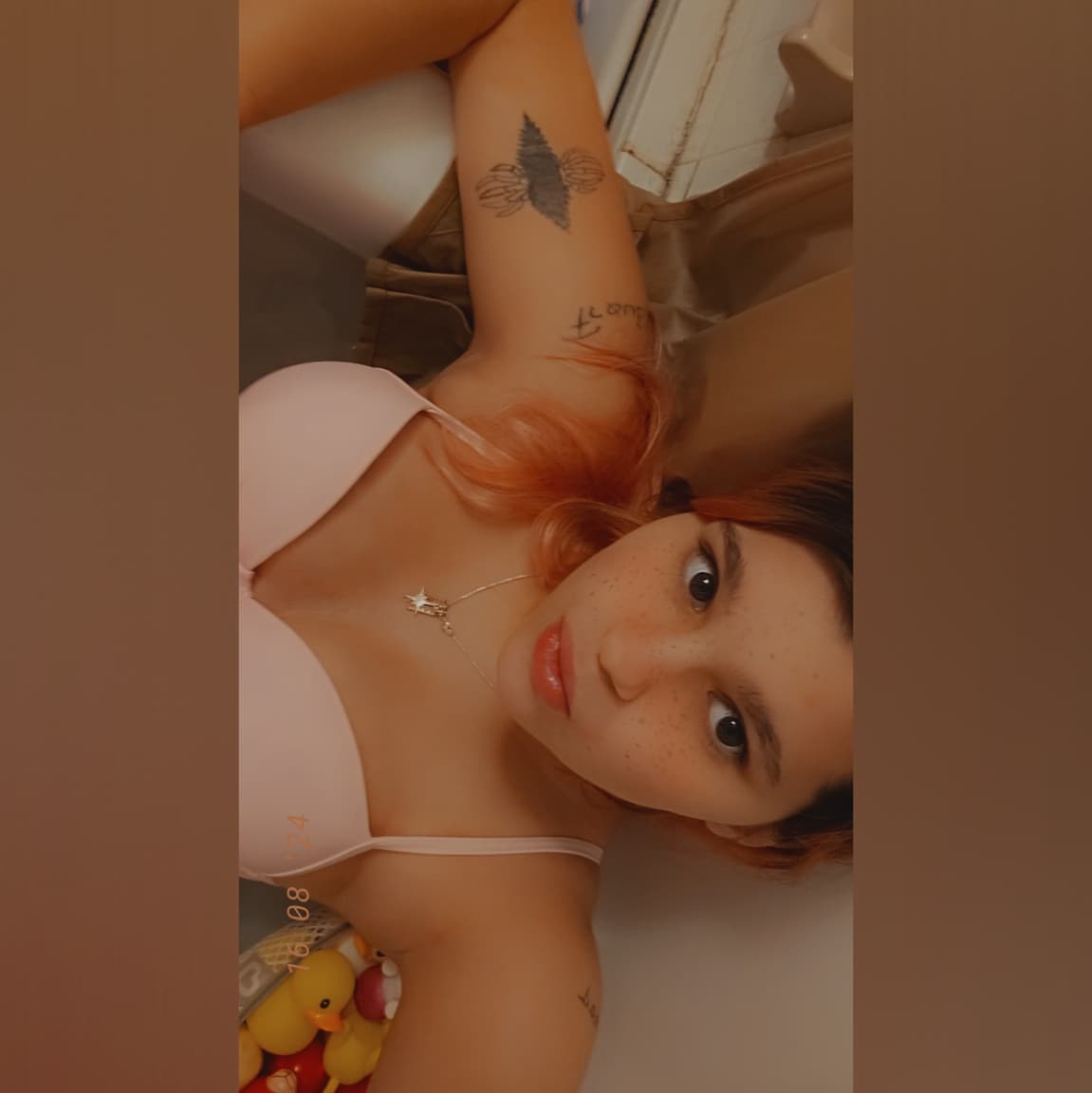 Brittany banner image