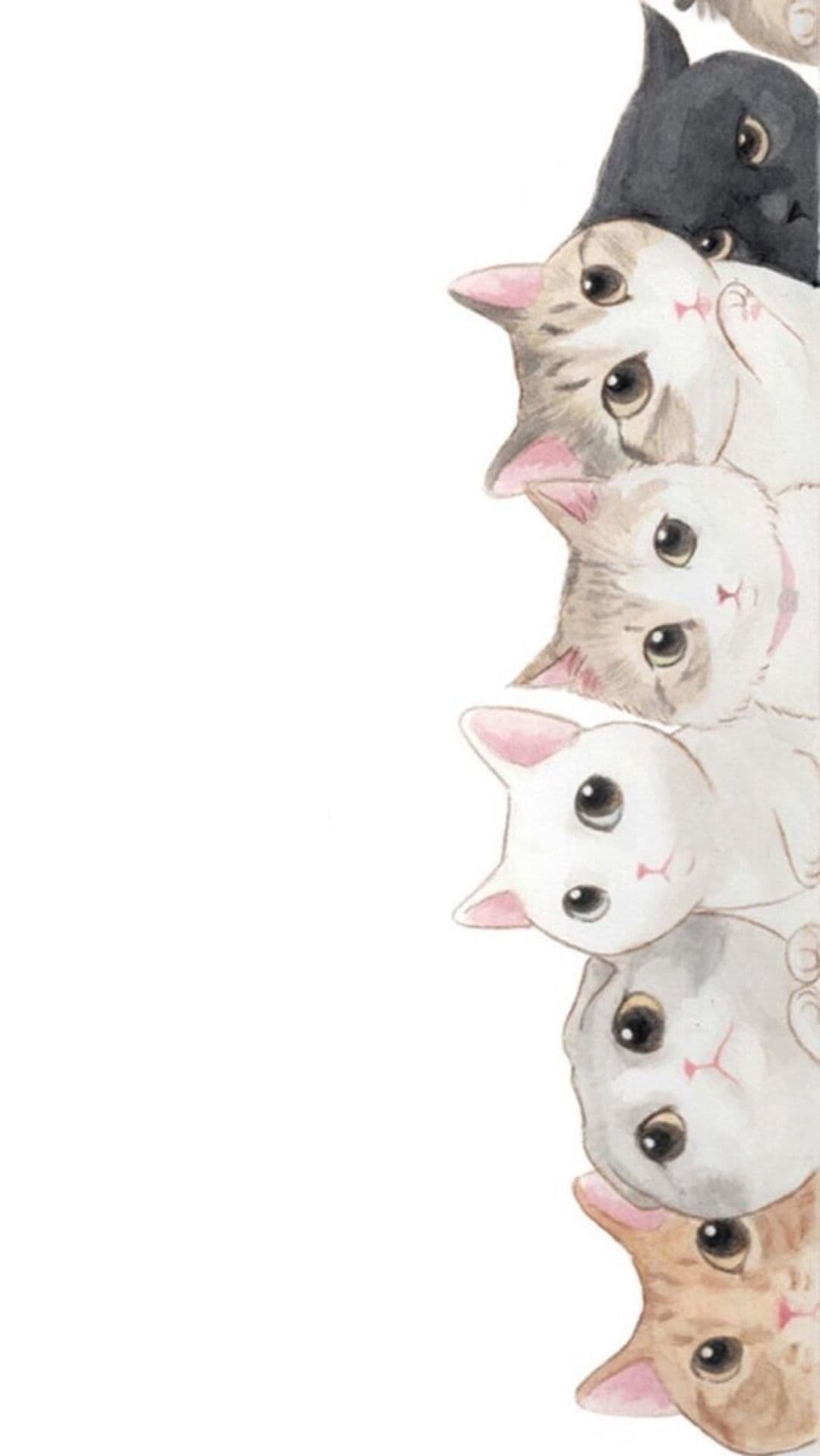 Kittiekatsa banner image