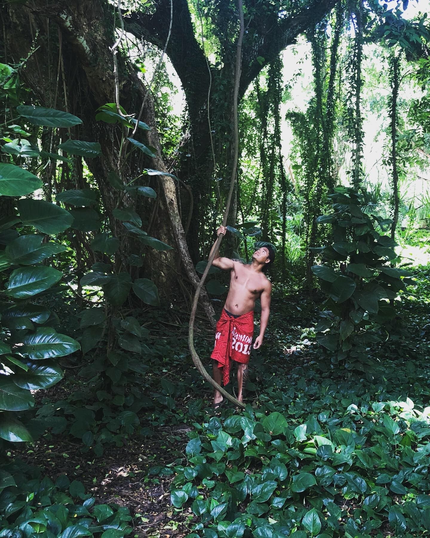 Kekoa banner image