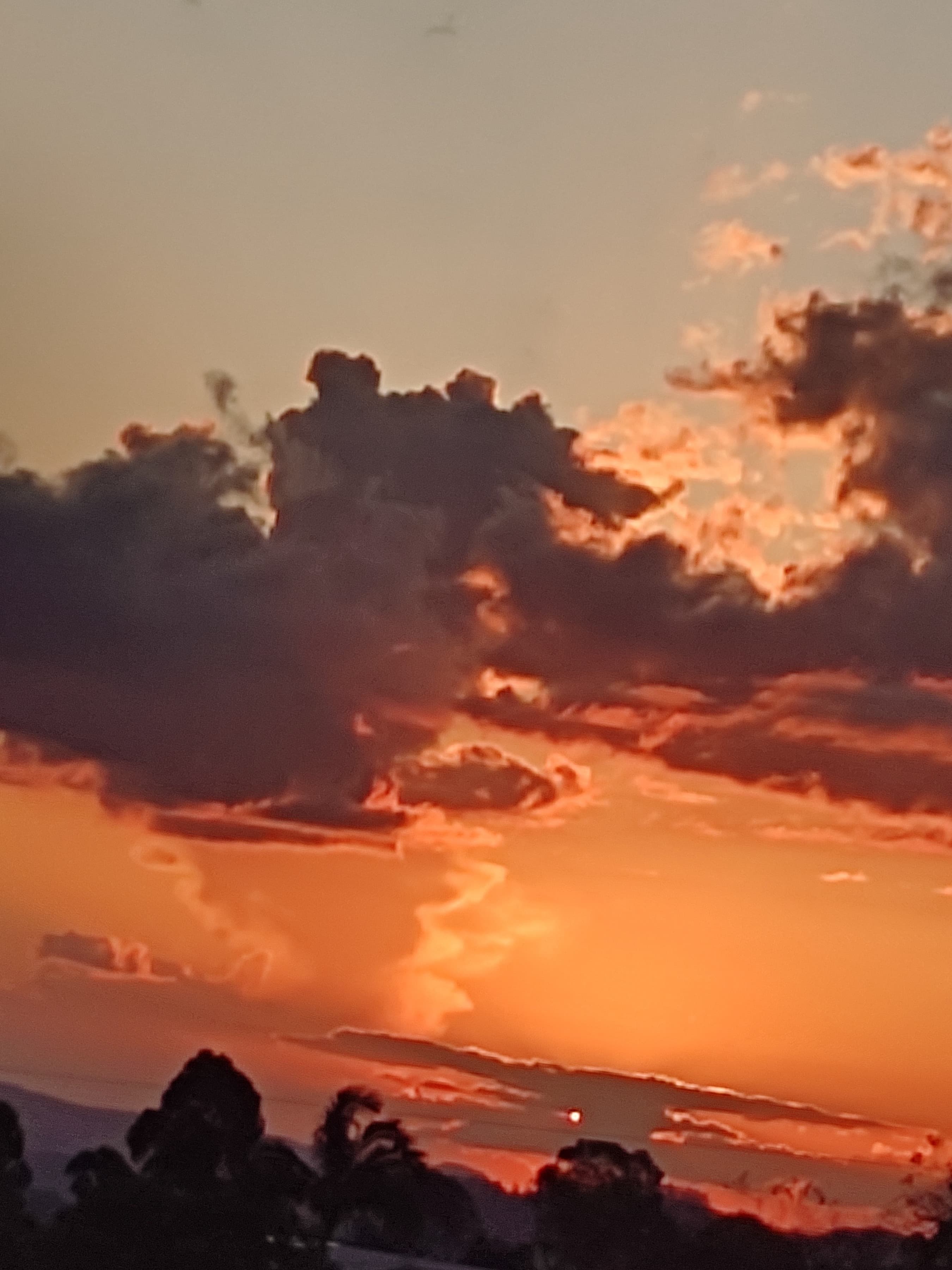 Djiuvana banner image