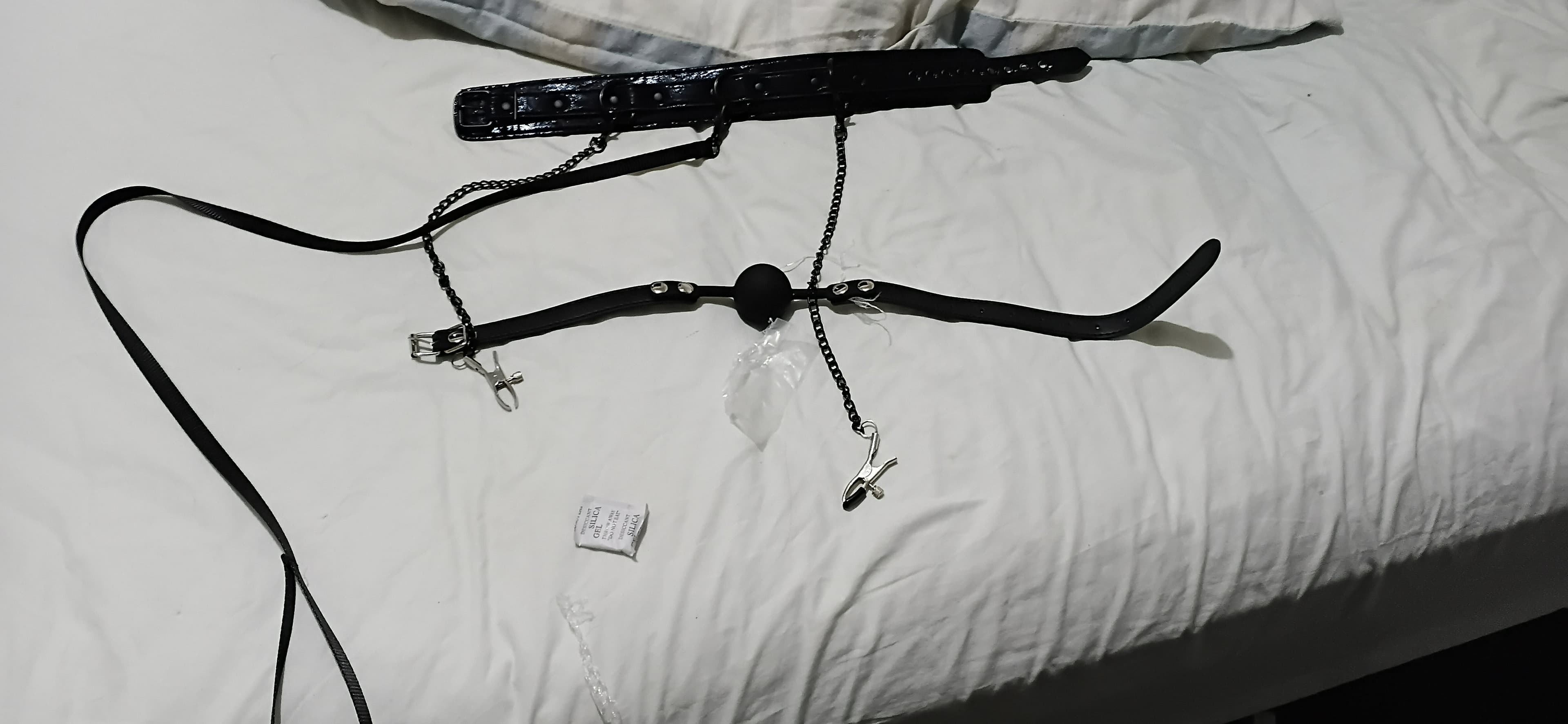 AylaFeetxo banner image