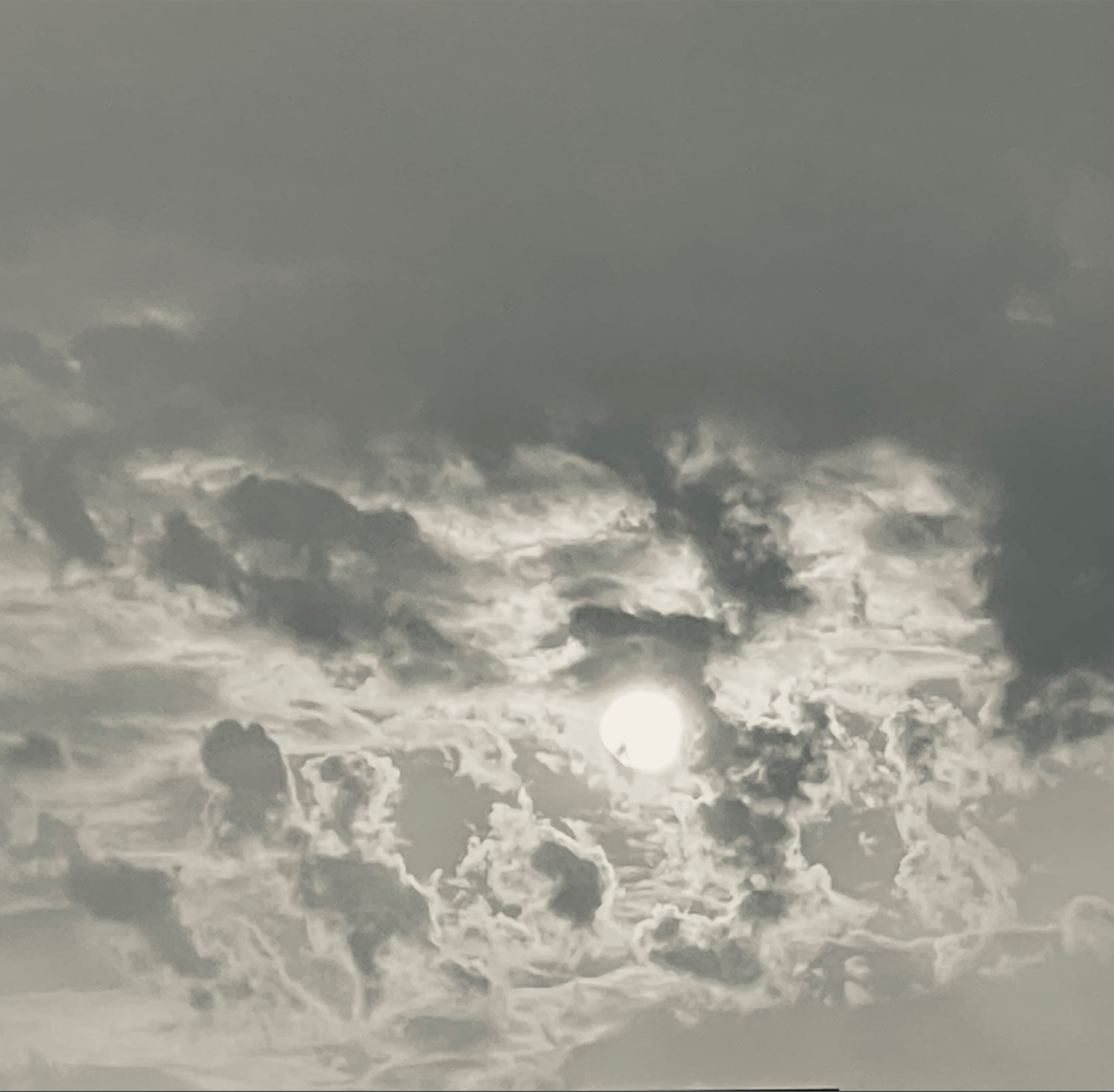 Melody banner image
