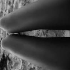 SGirl23 banner image