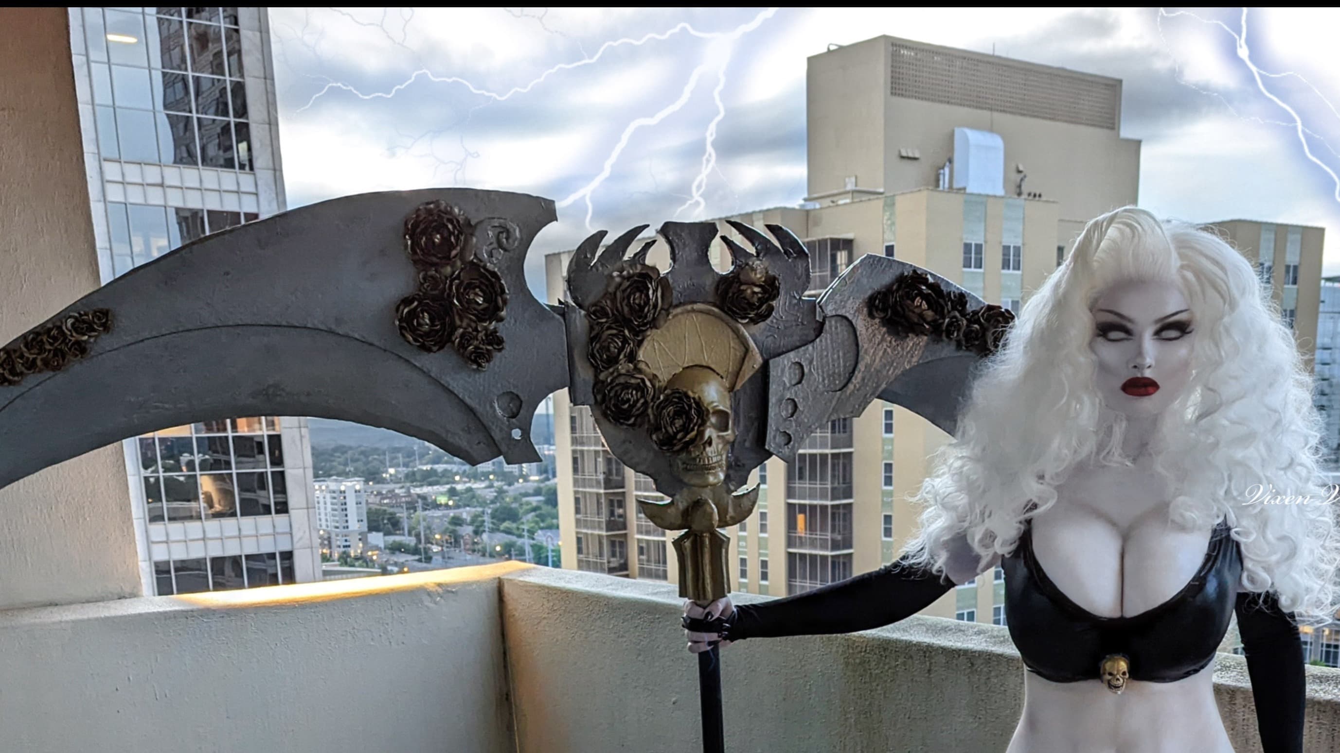 Vixen Virago banner image