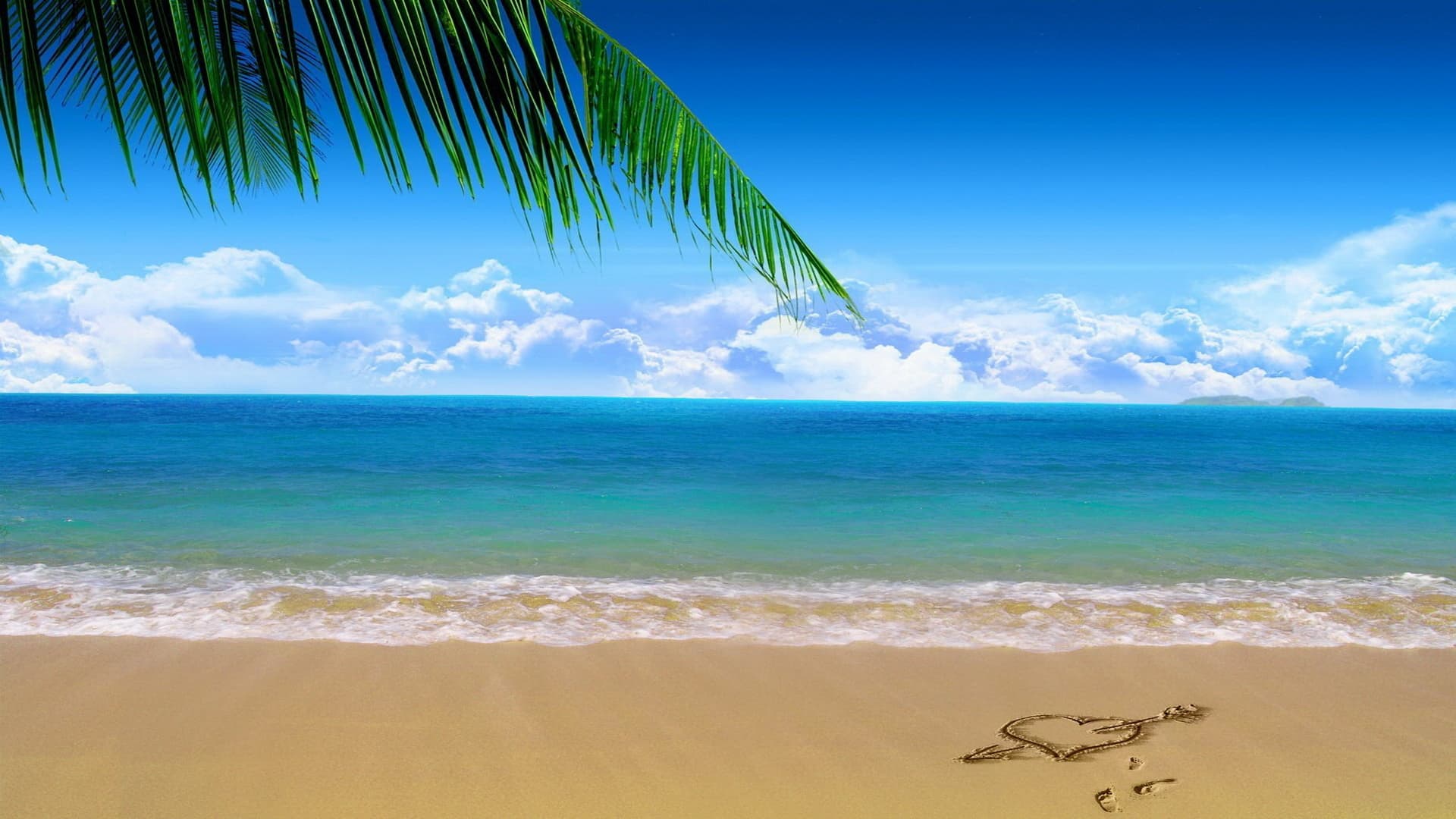 Danni banner image
