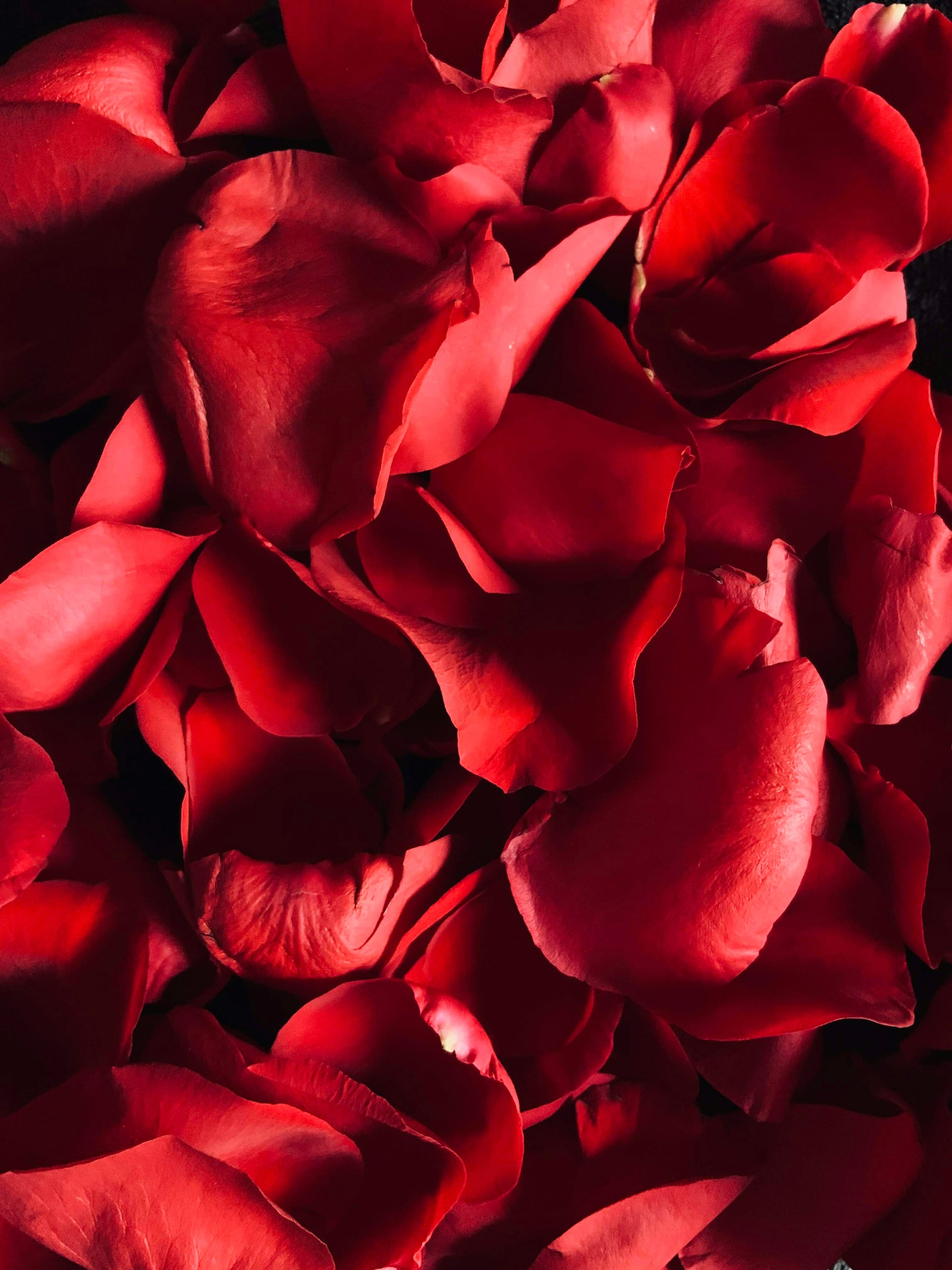 Blondequeenxo banner image