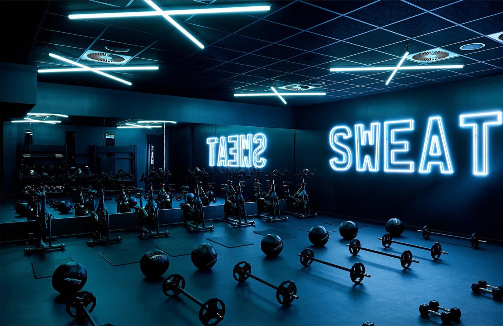 gym goddess banner image