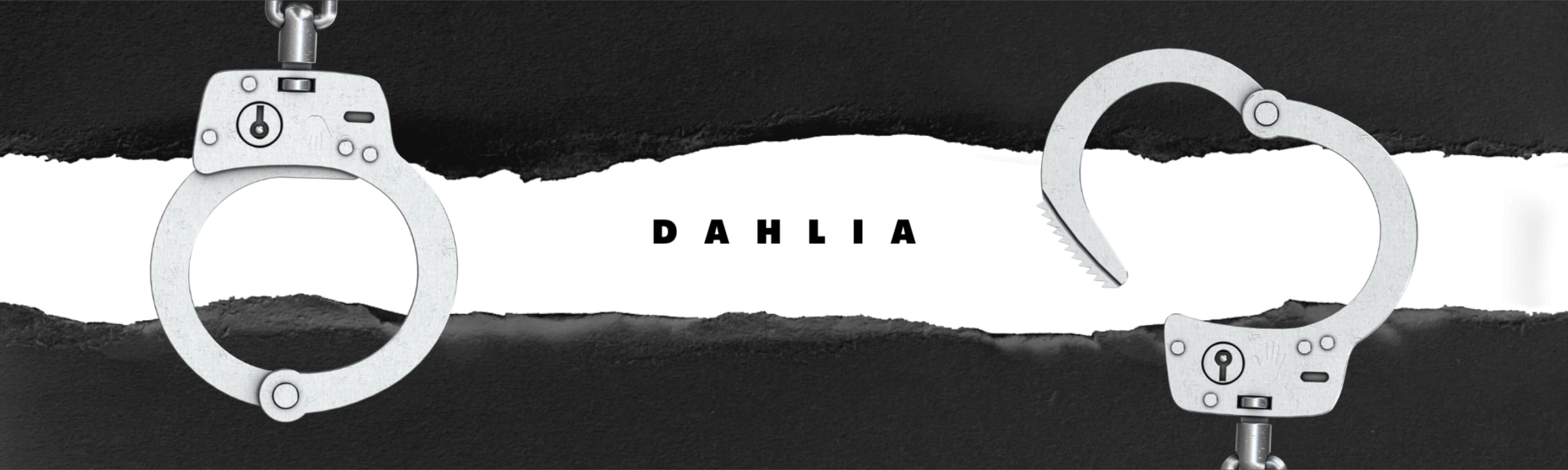 Dahlia banner image