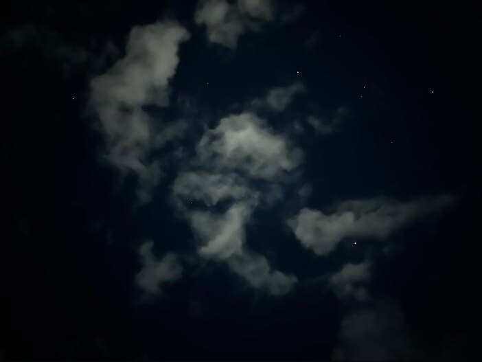 Daniel banner image