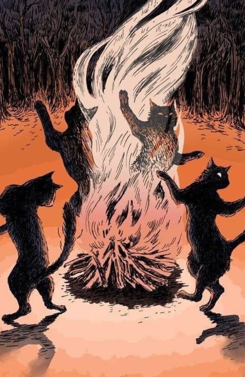 Kitty ✨🦇 banner image