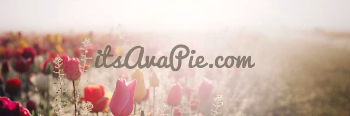 Ava Pie banner image