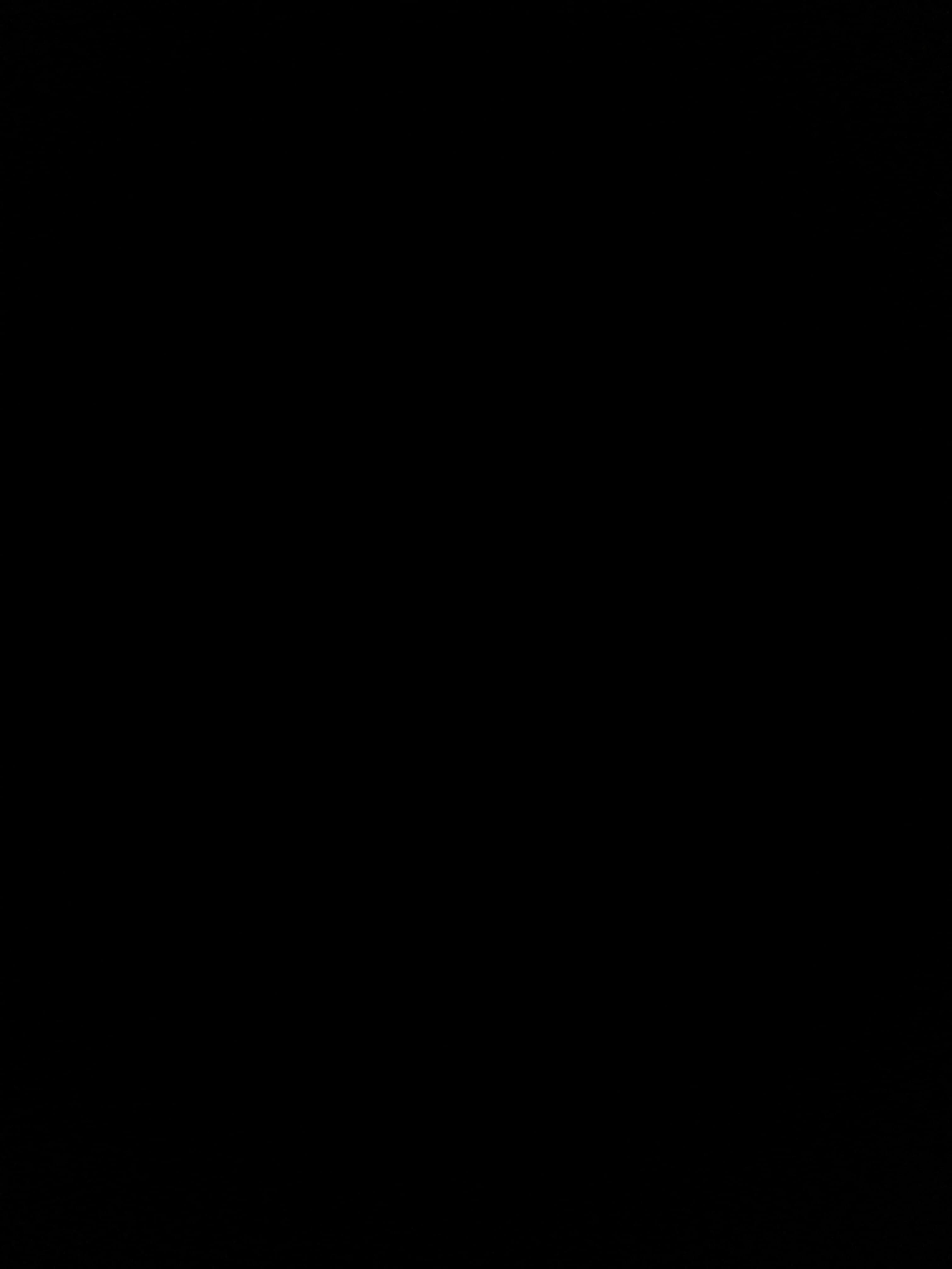 Lizzie banner image