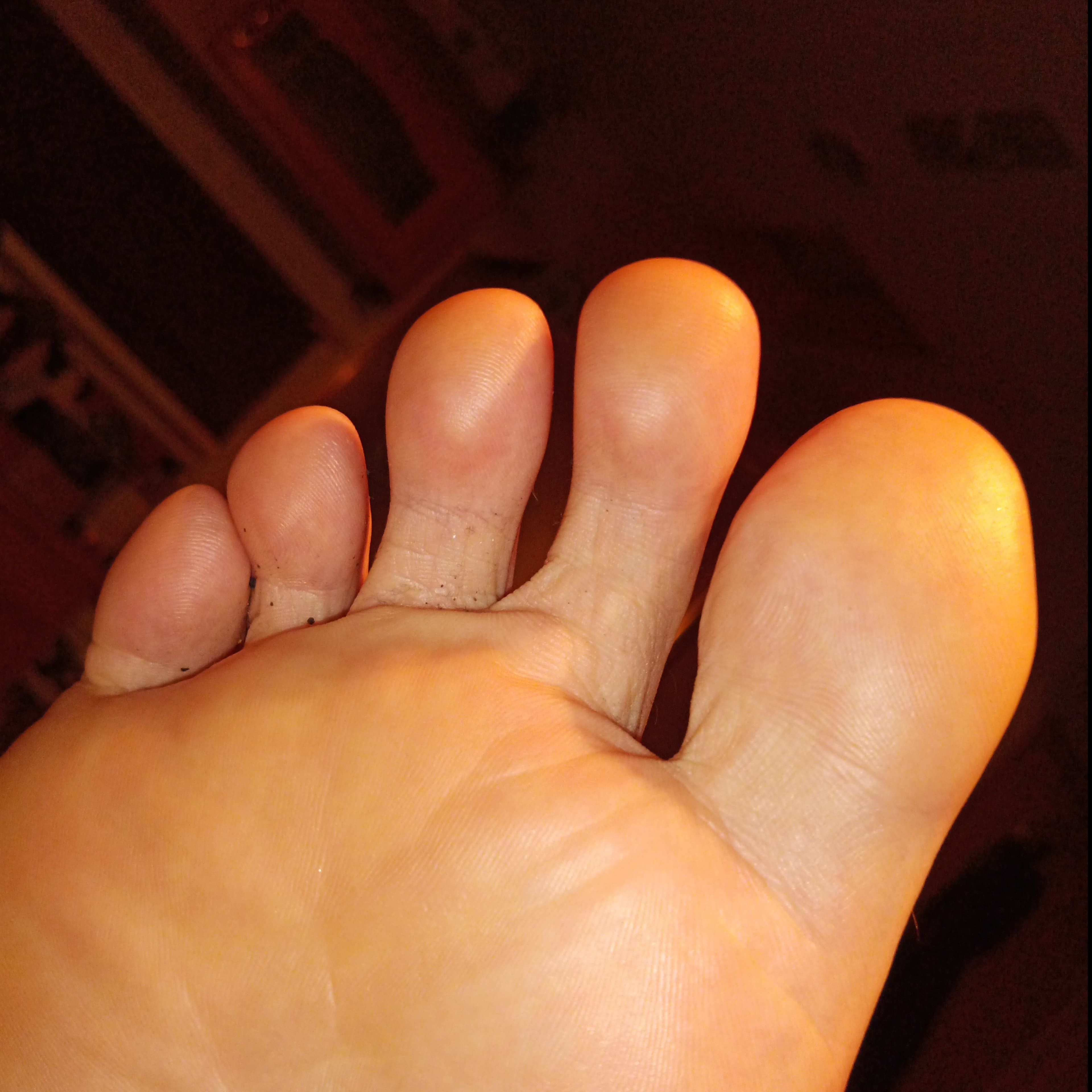@doggiesocksniffer banner image