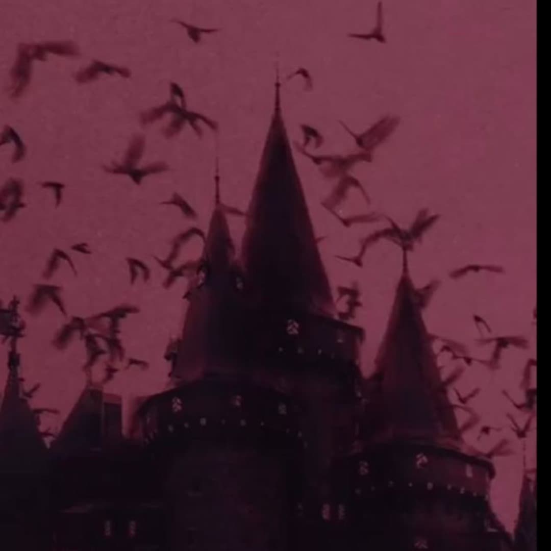 GothBunny202 banner image