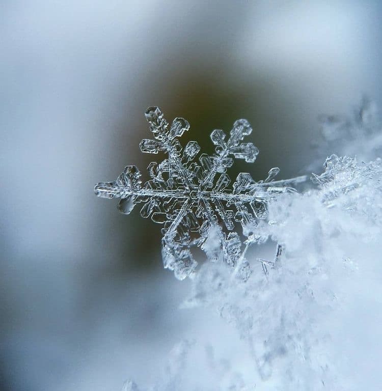Doxywinter banner image