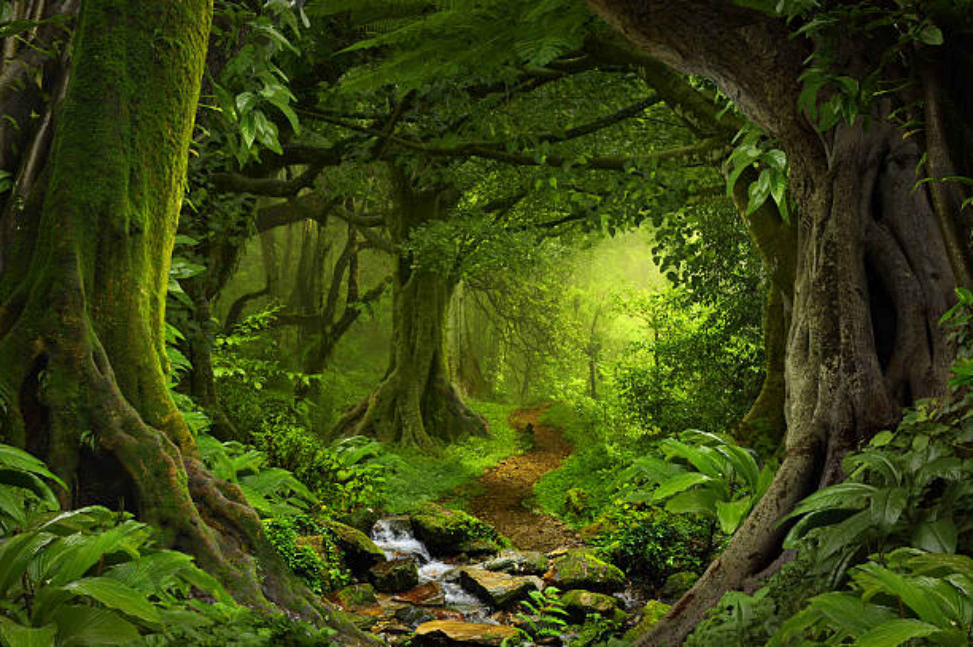 Melissa_Mae banner image