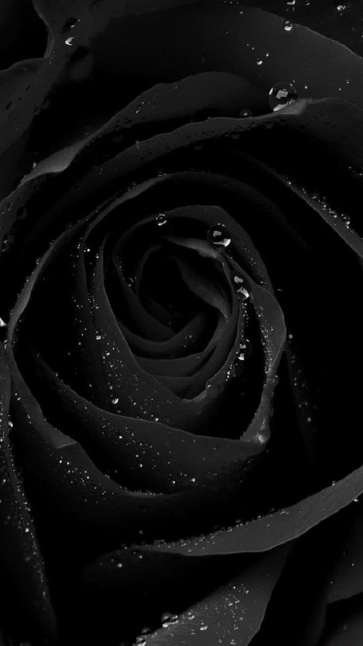 HP Beauty ๐ค banner image