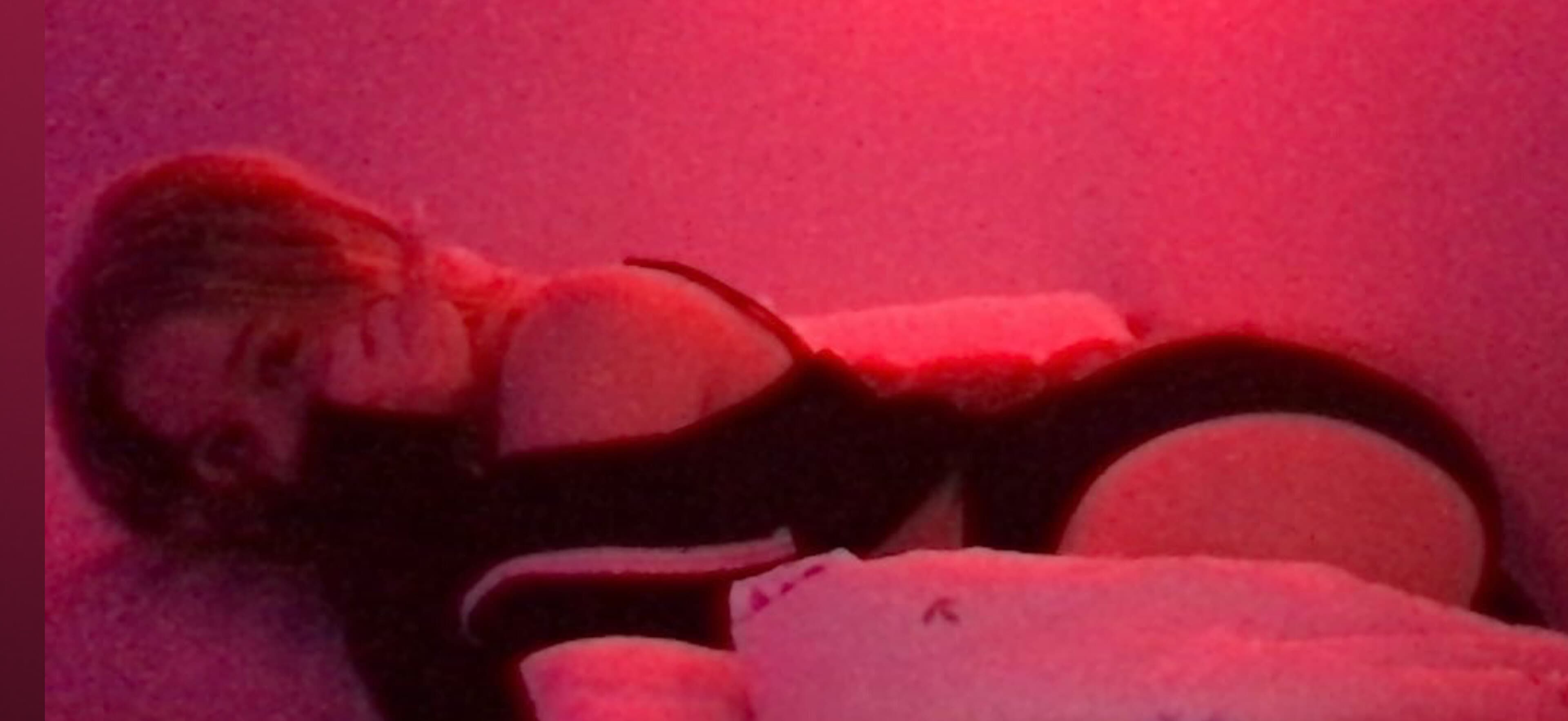 Casey π banner image