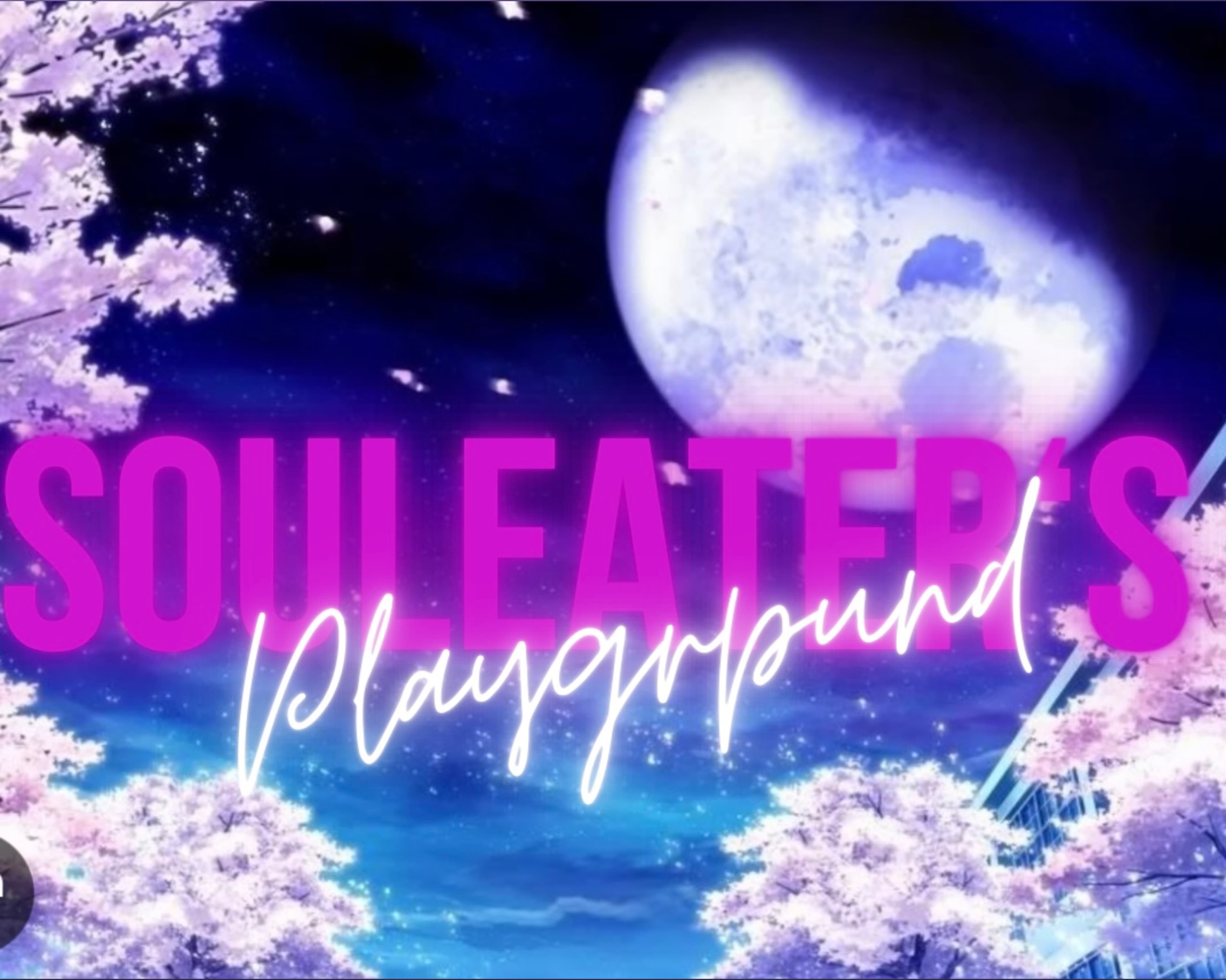 SoulEater’s.Playground🧸💖 banner image