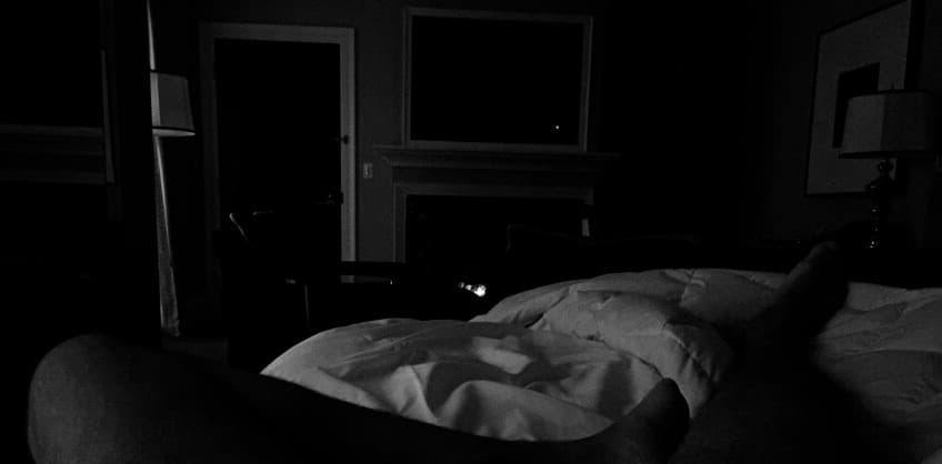 Gray Cardinal banner image